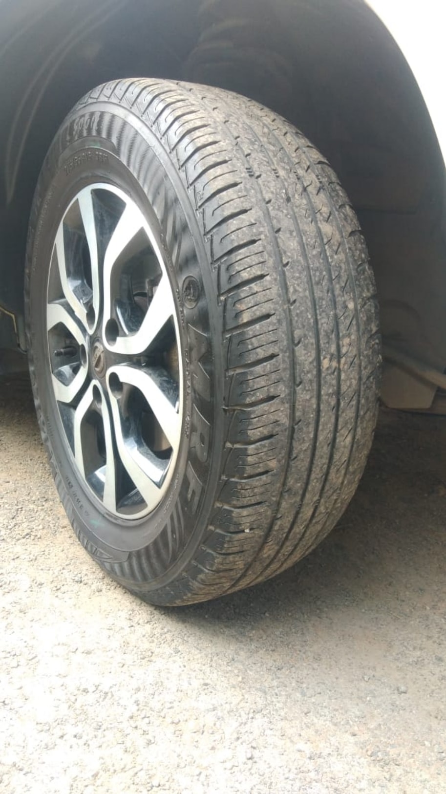 Terrano image 14 Terrano image 14