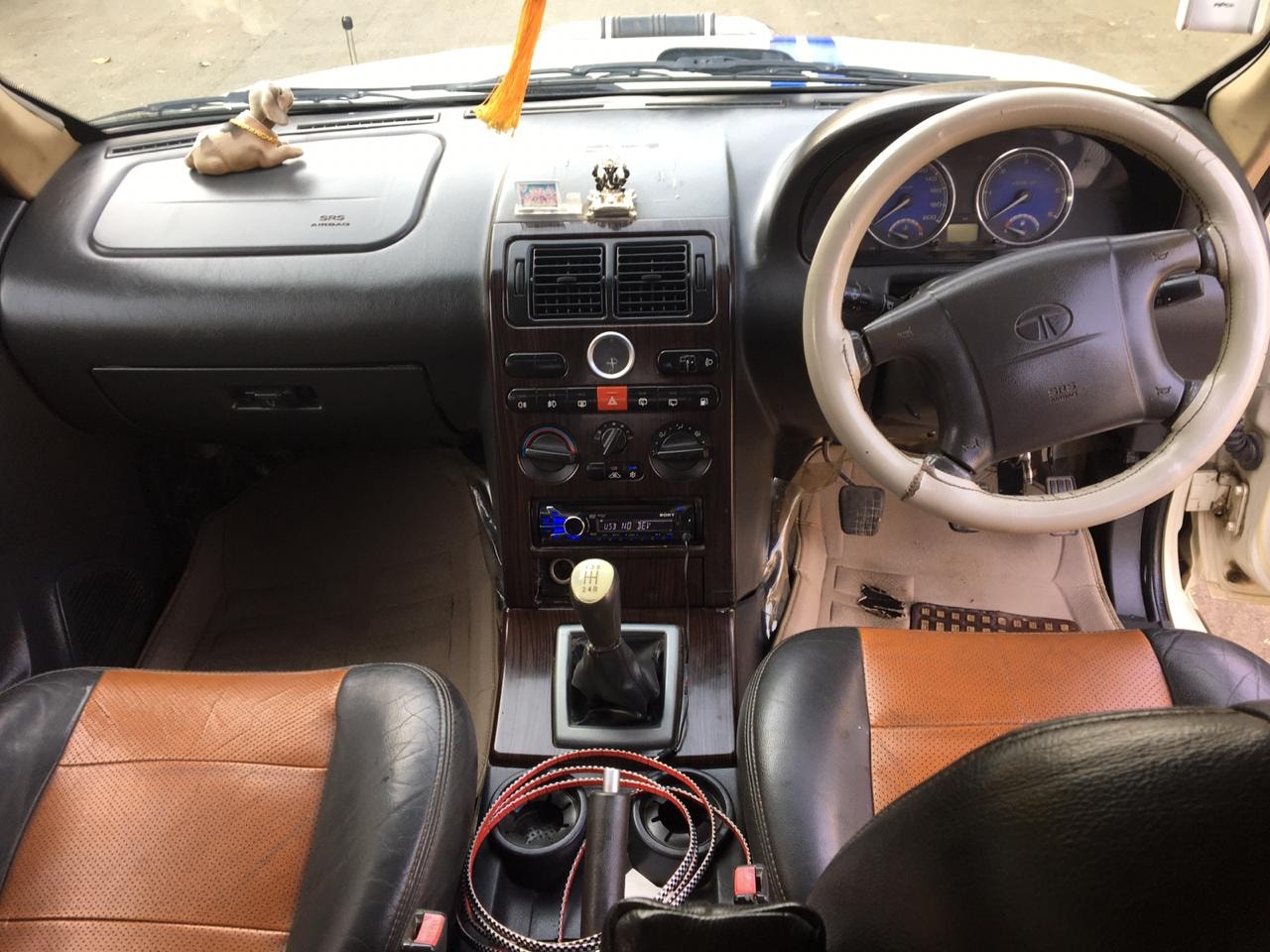 Safari image 4 Safari image 4