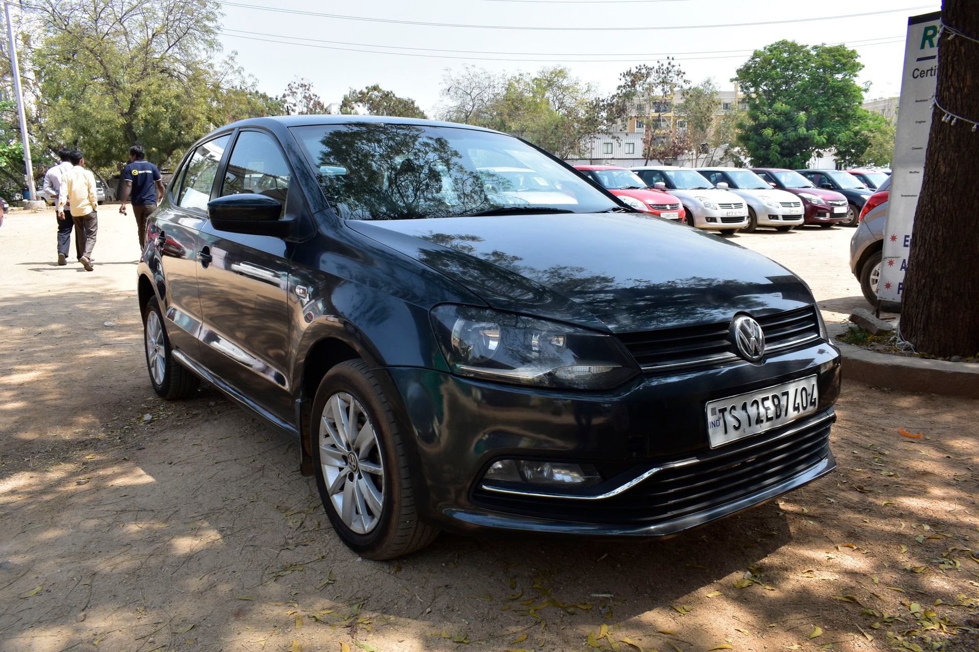 Polo image 4 Polo image 4