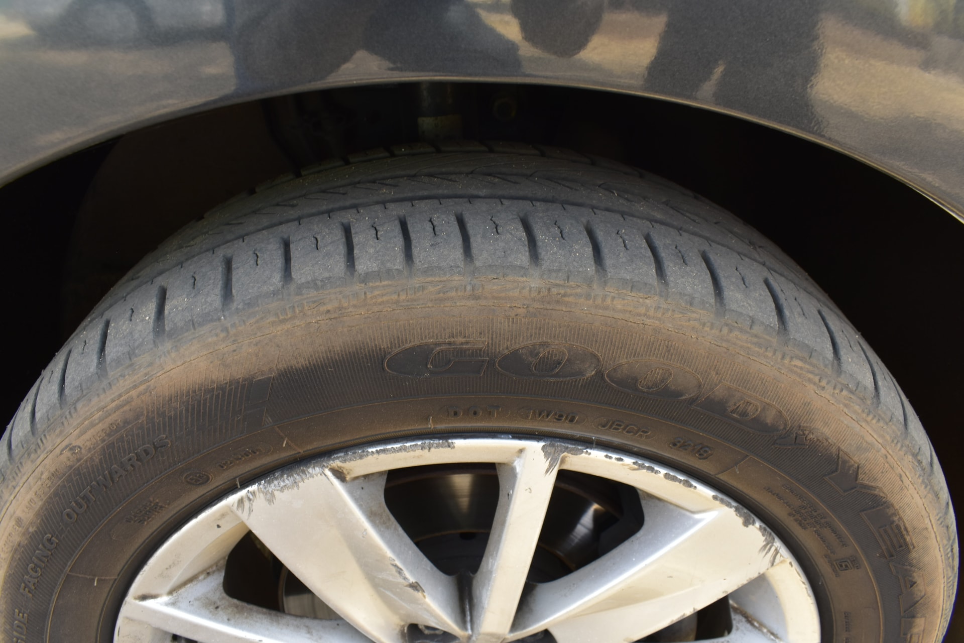 Polo image 13 Polo image 13