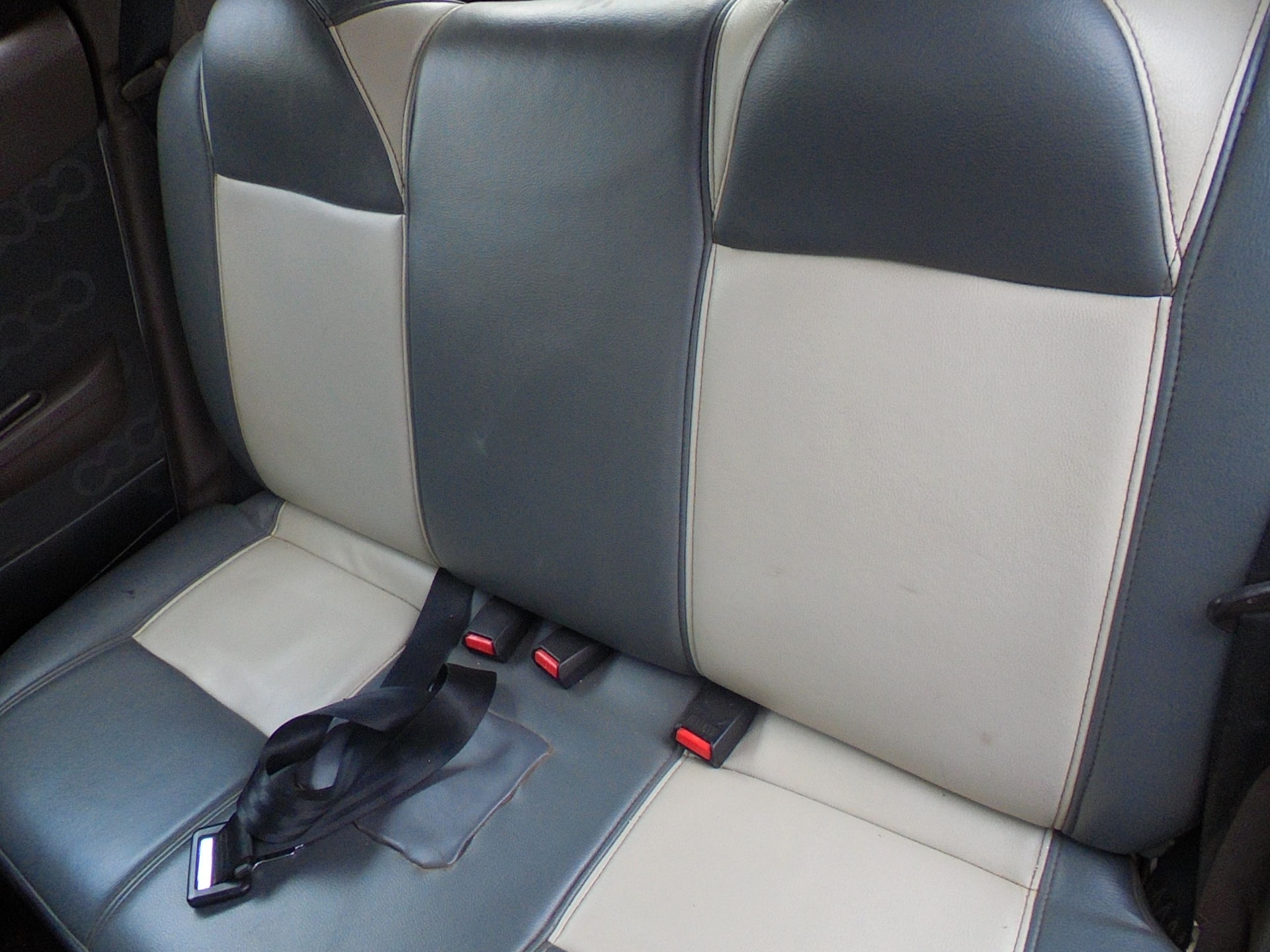 Alto 800 image 3 Alto 800 image 3