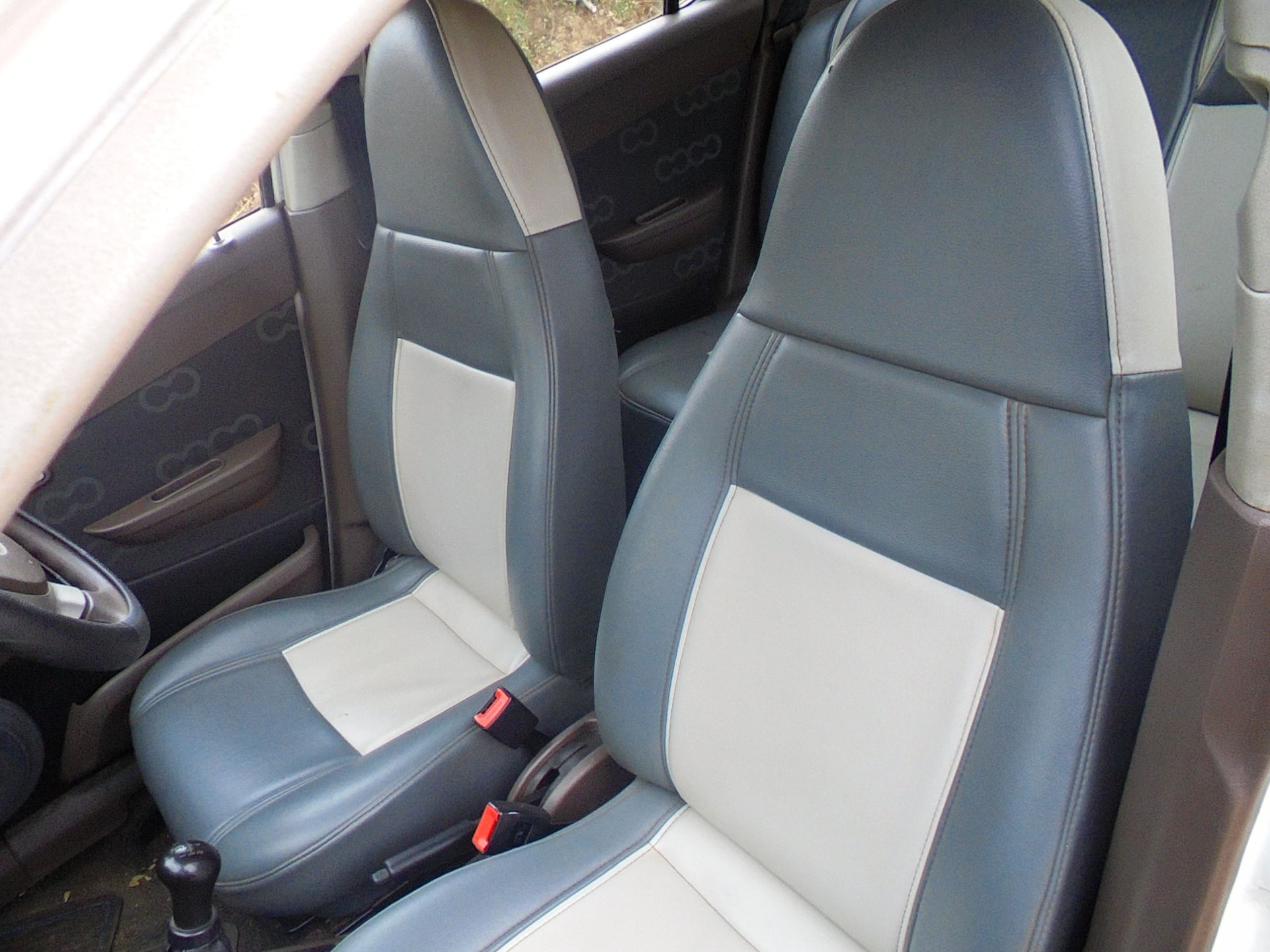 Alto 800 image 6 Alto 800 image 6