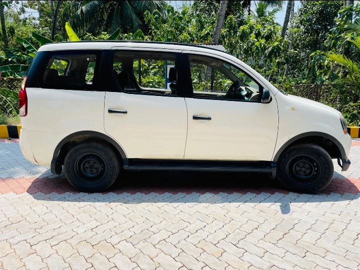 Xylo image 3 Xylo image 3