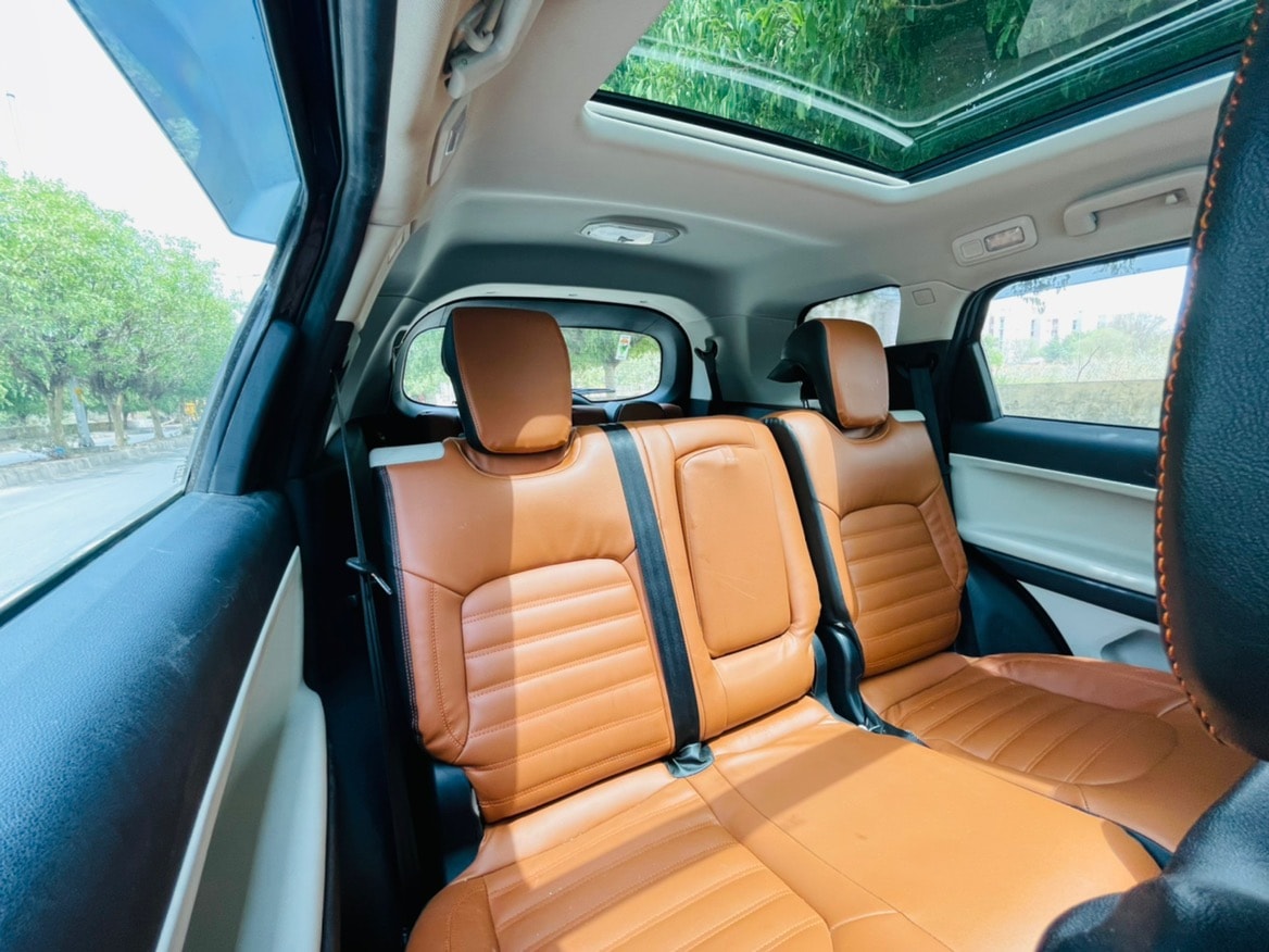 Safari image 9 Safari image 9