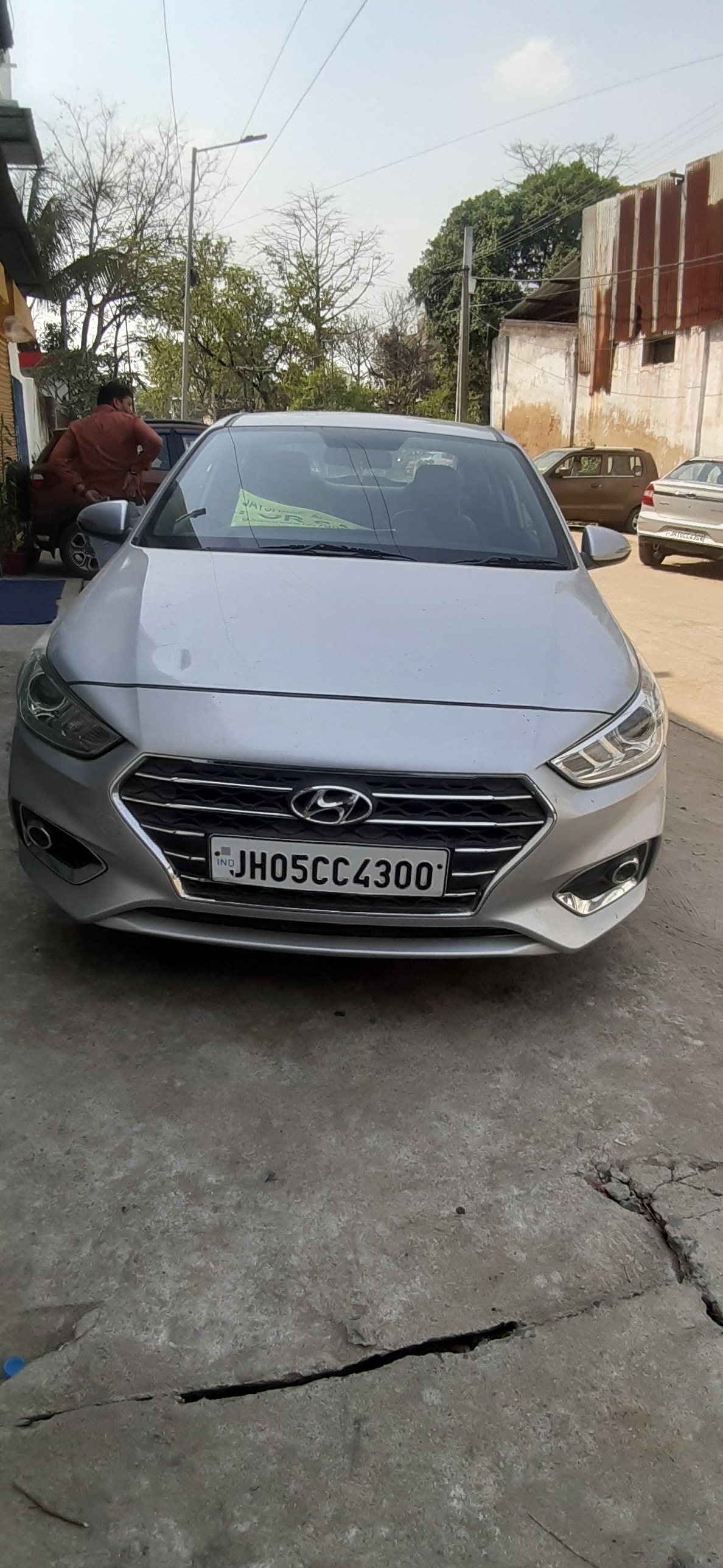 Verna image 1 Verna image 1