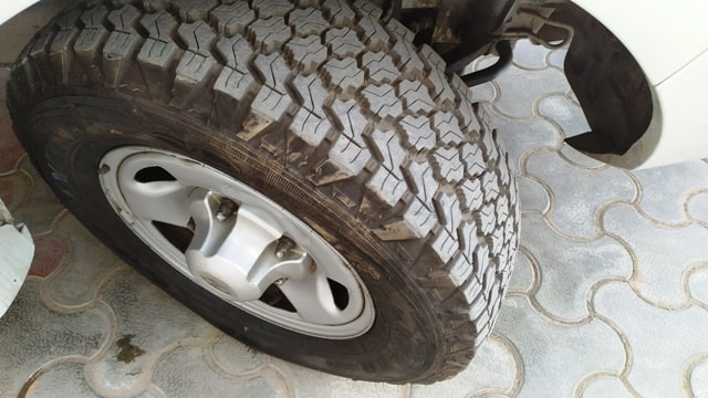 Safari image 16 Safari image 16