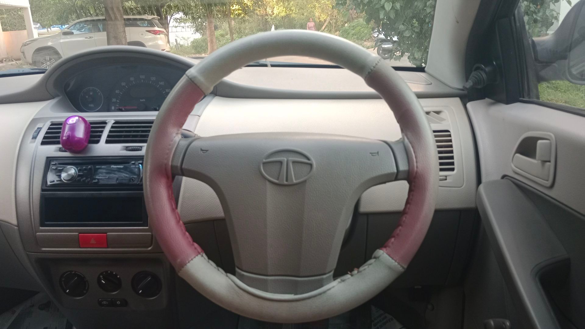 Indica Vista image 17 Indica Vista image 17