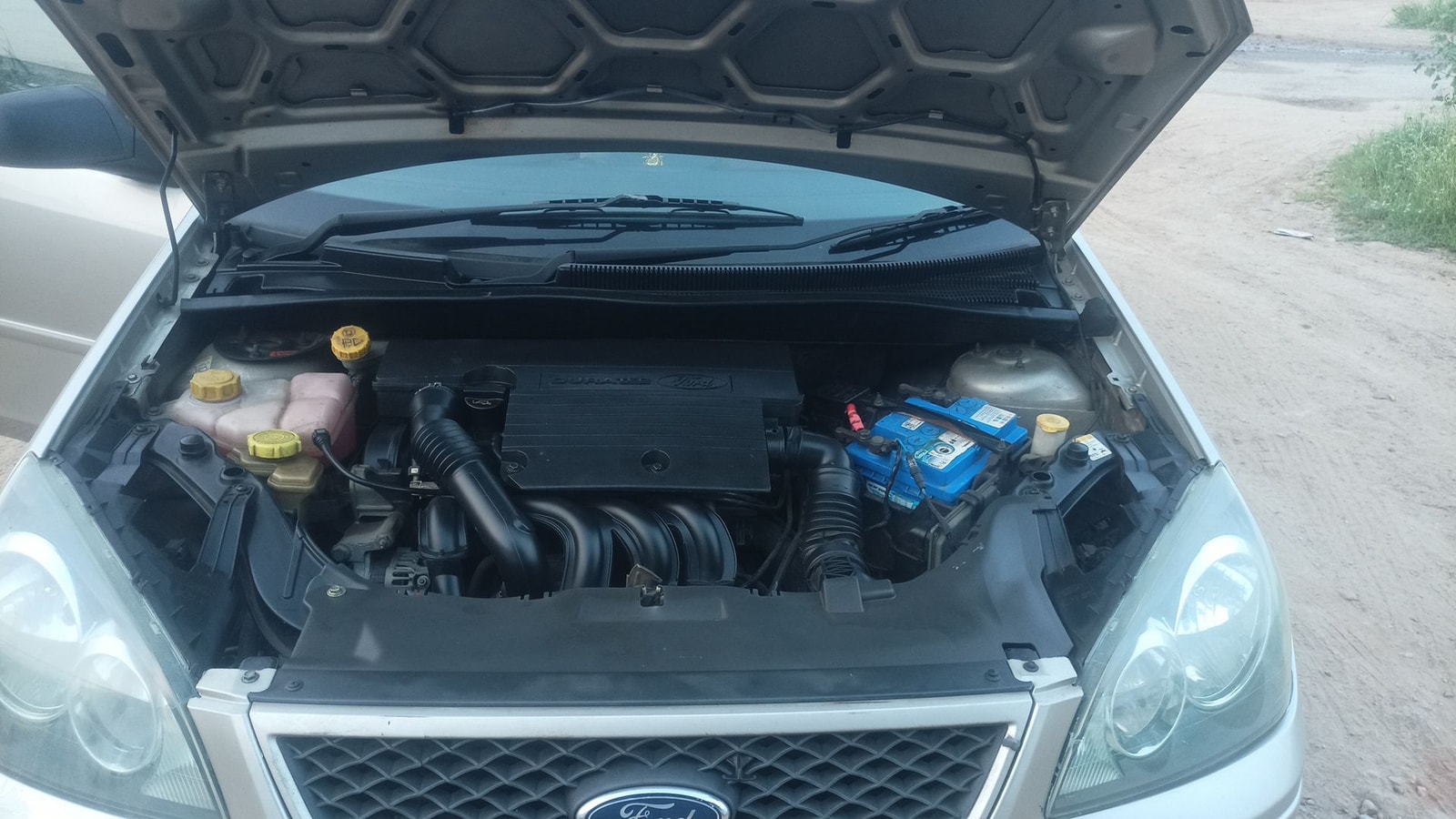 Fiesta image 14 Fiesta image 14