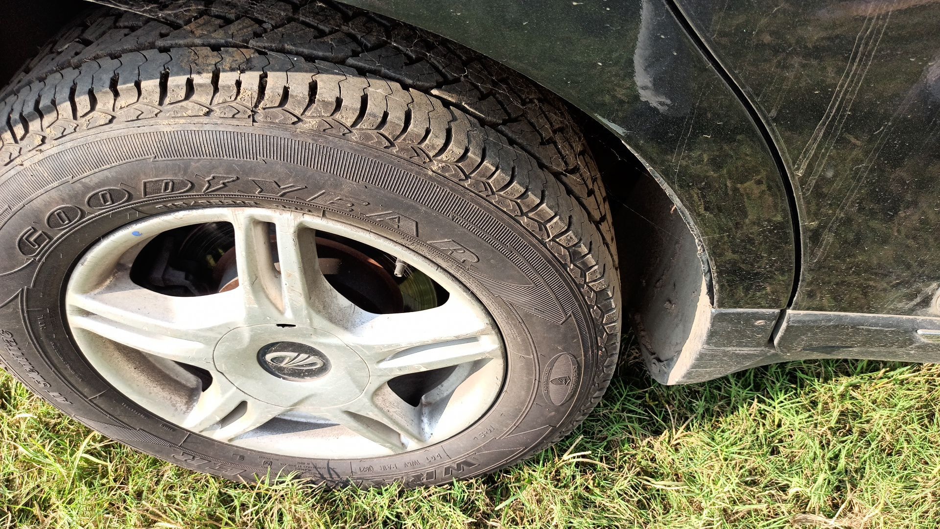 Marazzo image 5 Marazzo image 5