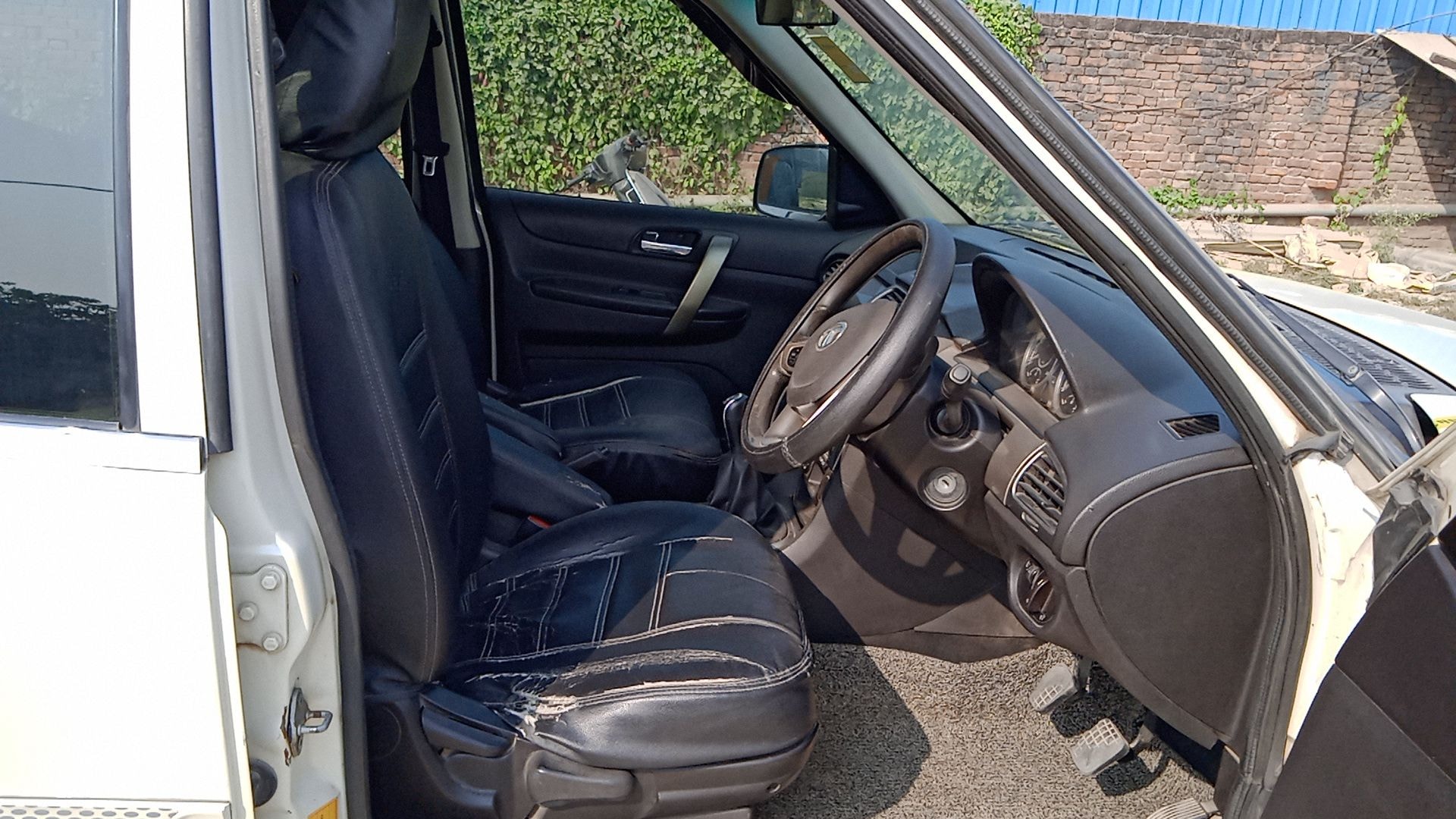 Safari Storme image 19 Safari Storme image 19