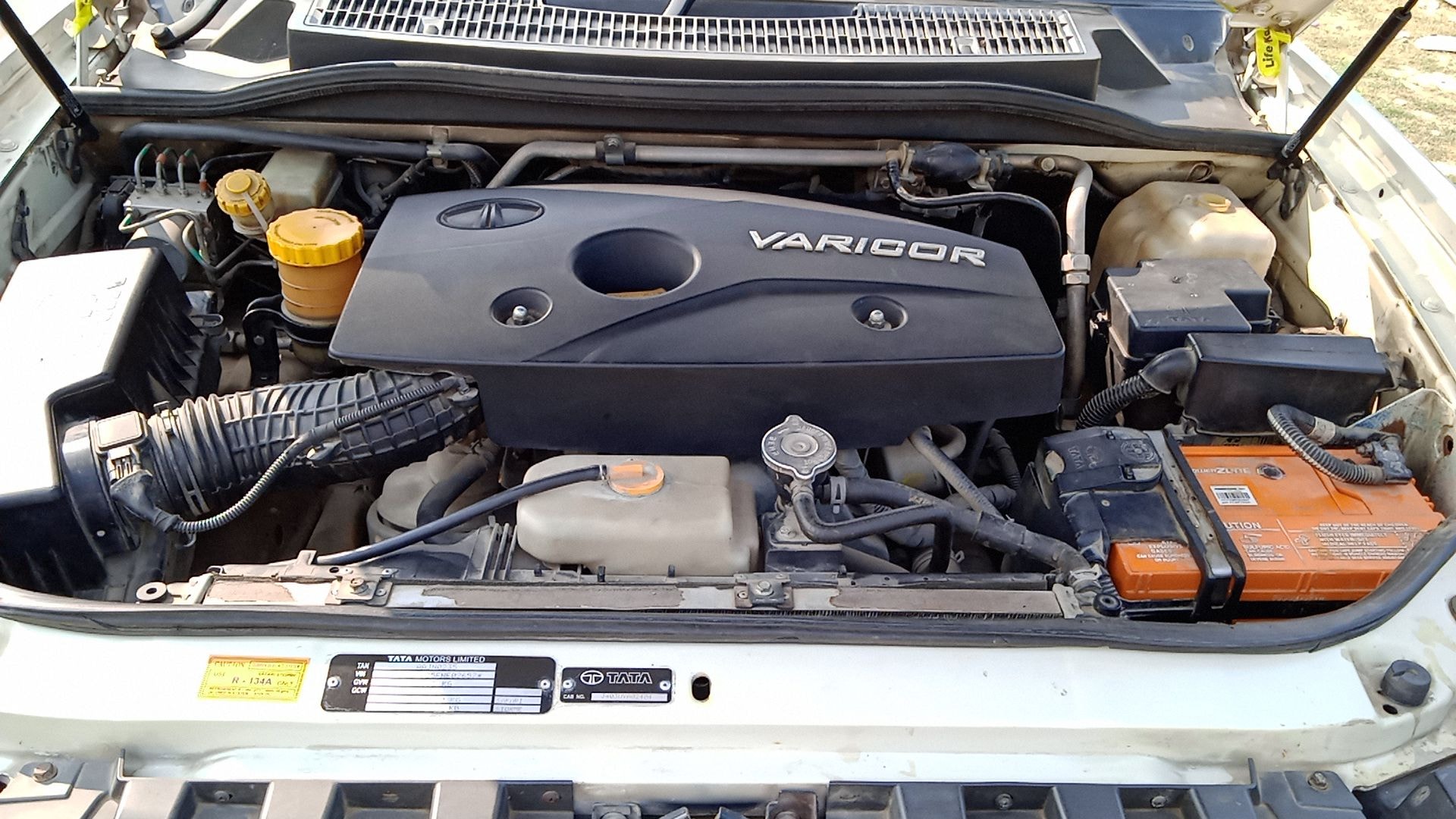 Safari Storme image 14 Safari Storme image 14