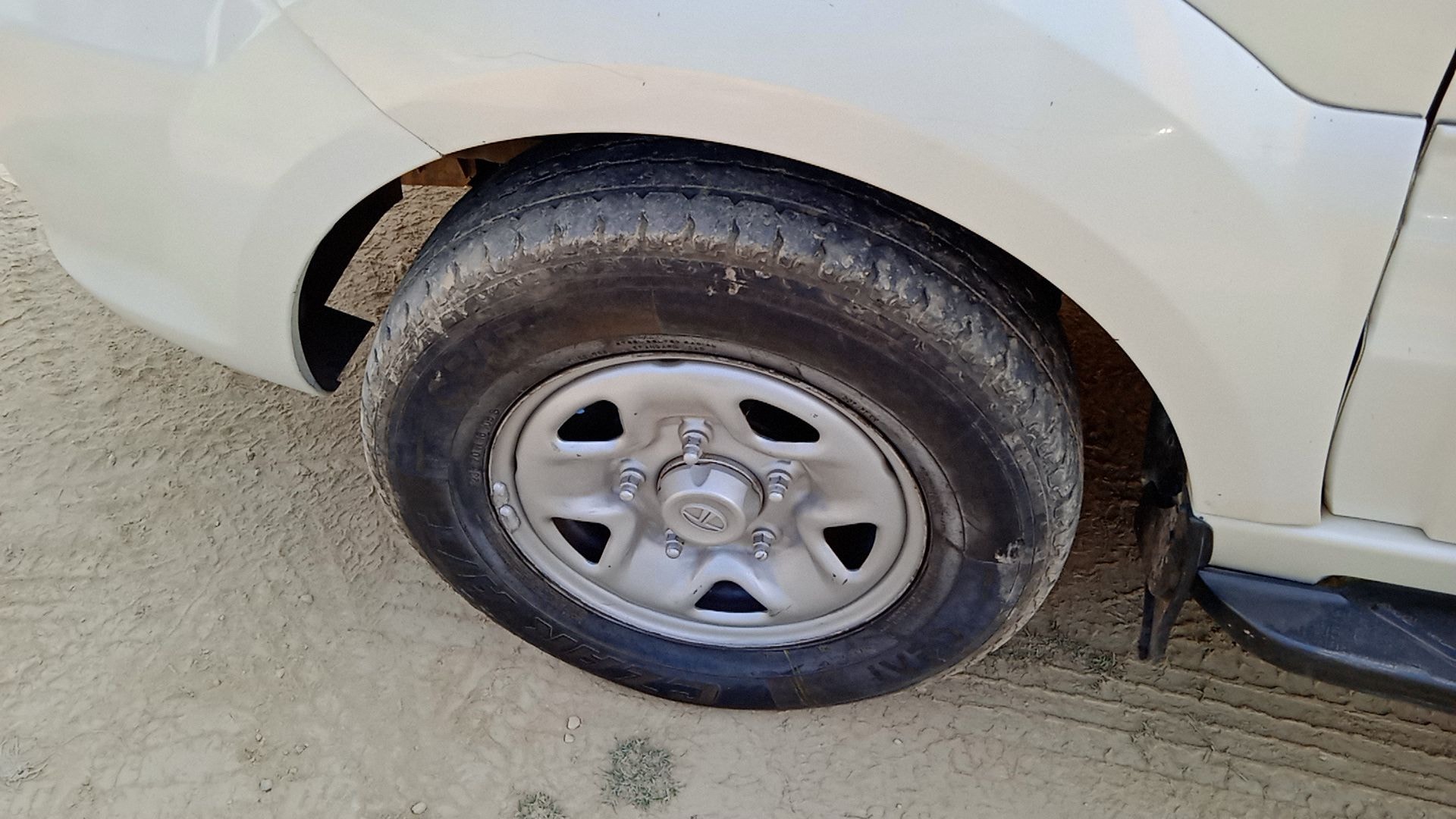 Safari Storme image 12 Safari Storme image 12