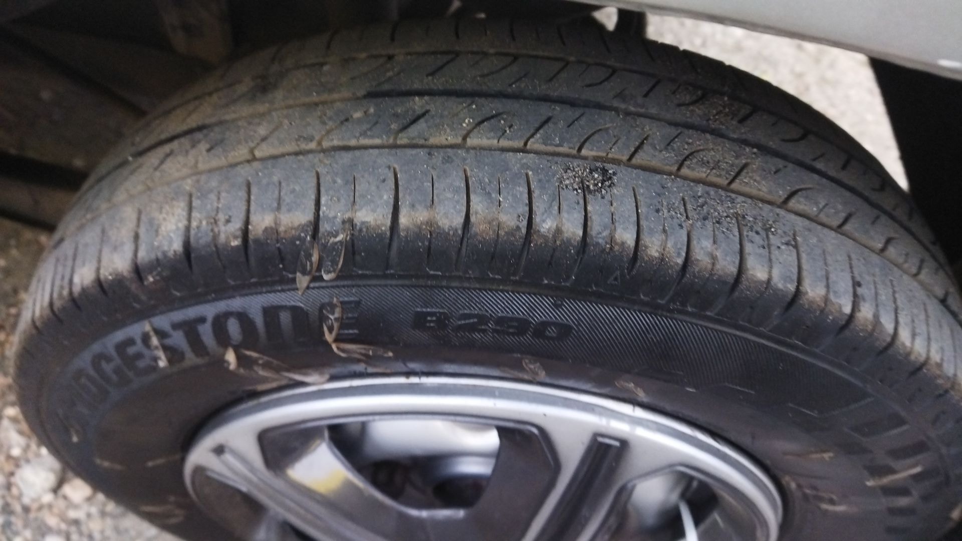 Zen image 12 Zen image 12