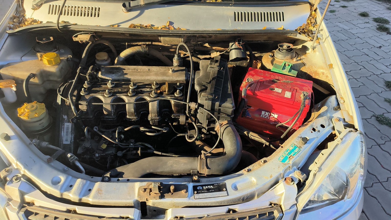 Indica V2 image 13 Indica V2 image 13