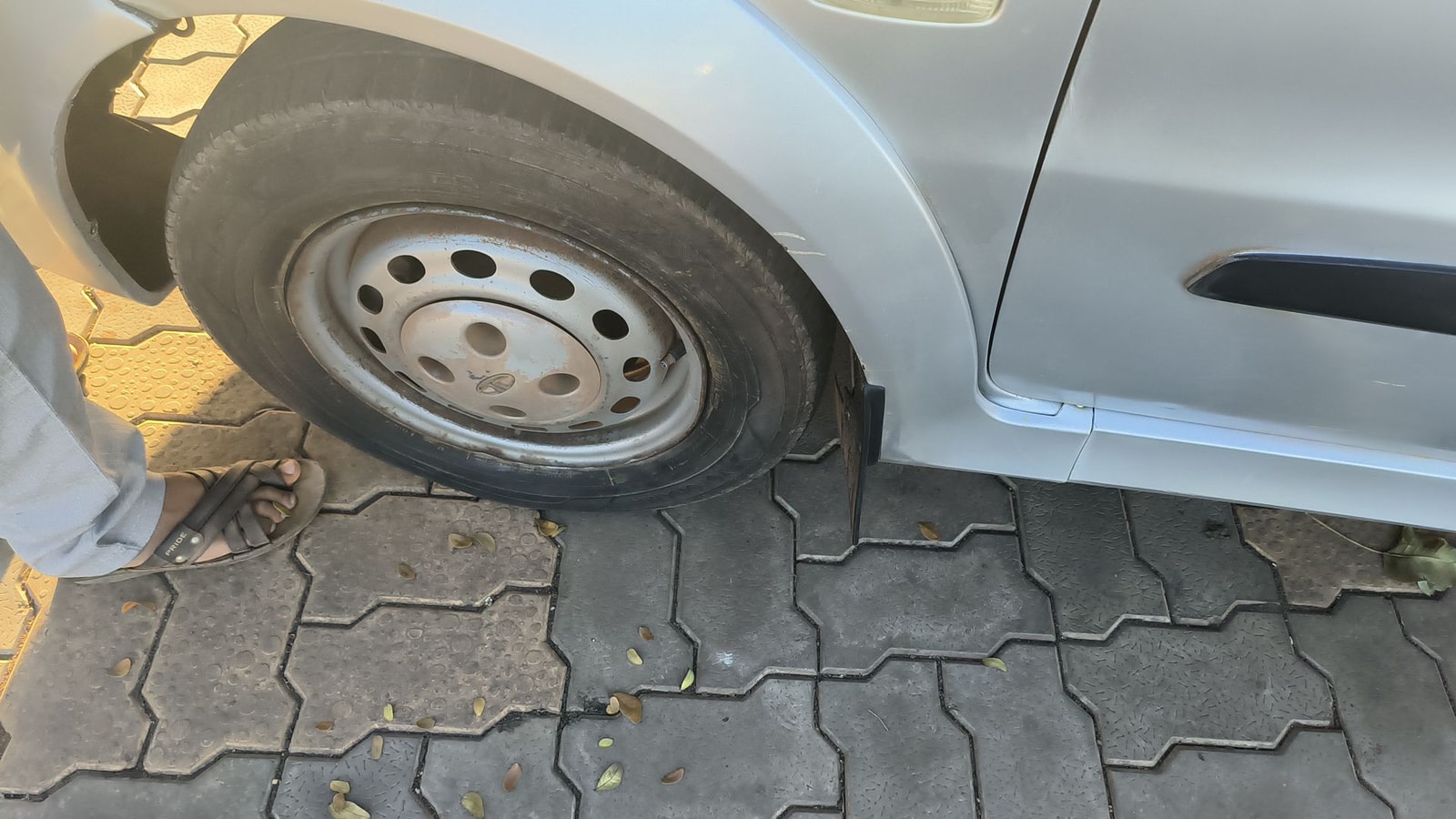 Indica V2 image 11 Indica V2 image 11