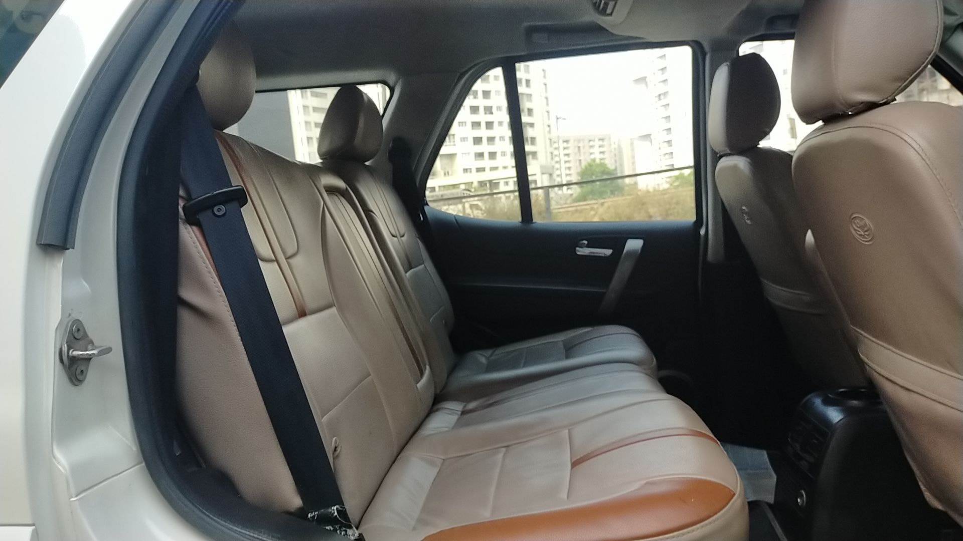 Safari Storme image 8 Safari Storme image 8