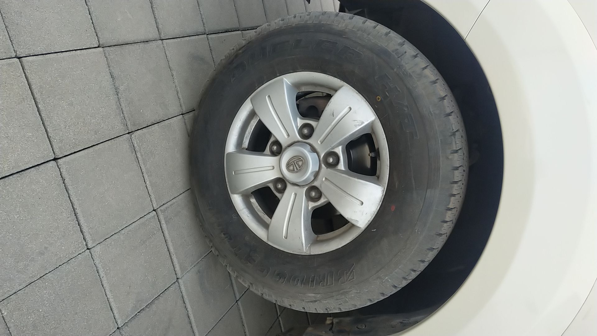 Safari Storme image 5 Safari Storme image 5