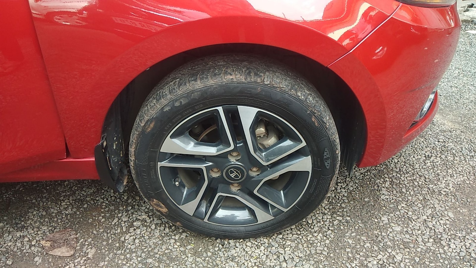 Tigor image 9 Tigor image 9