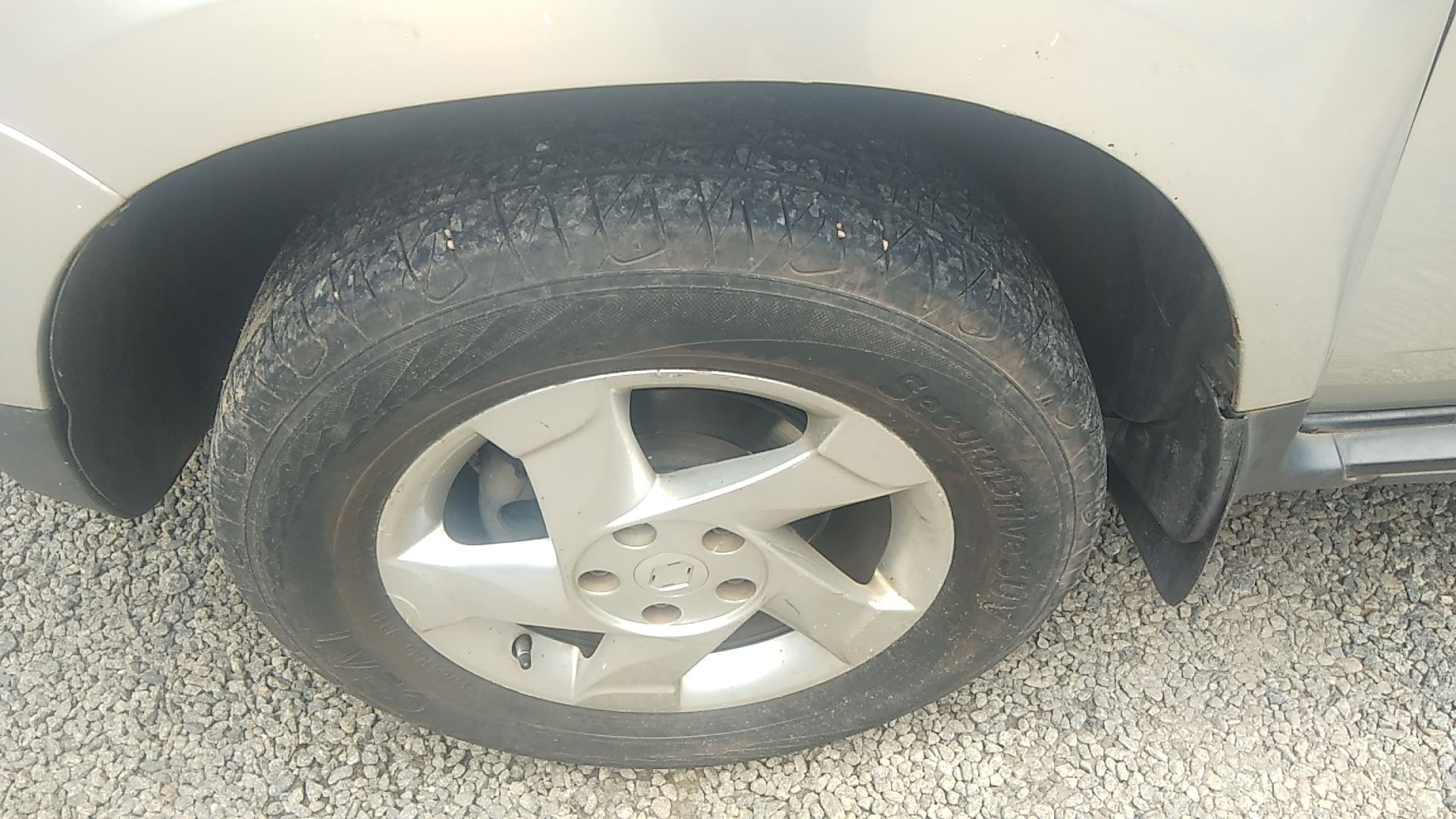 Duster image 12 Duster image 12