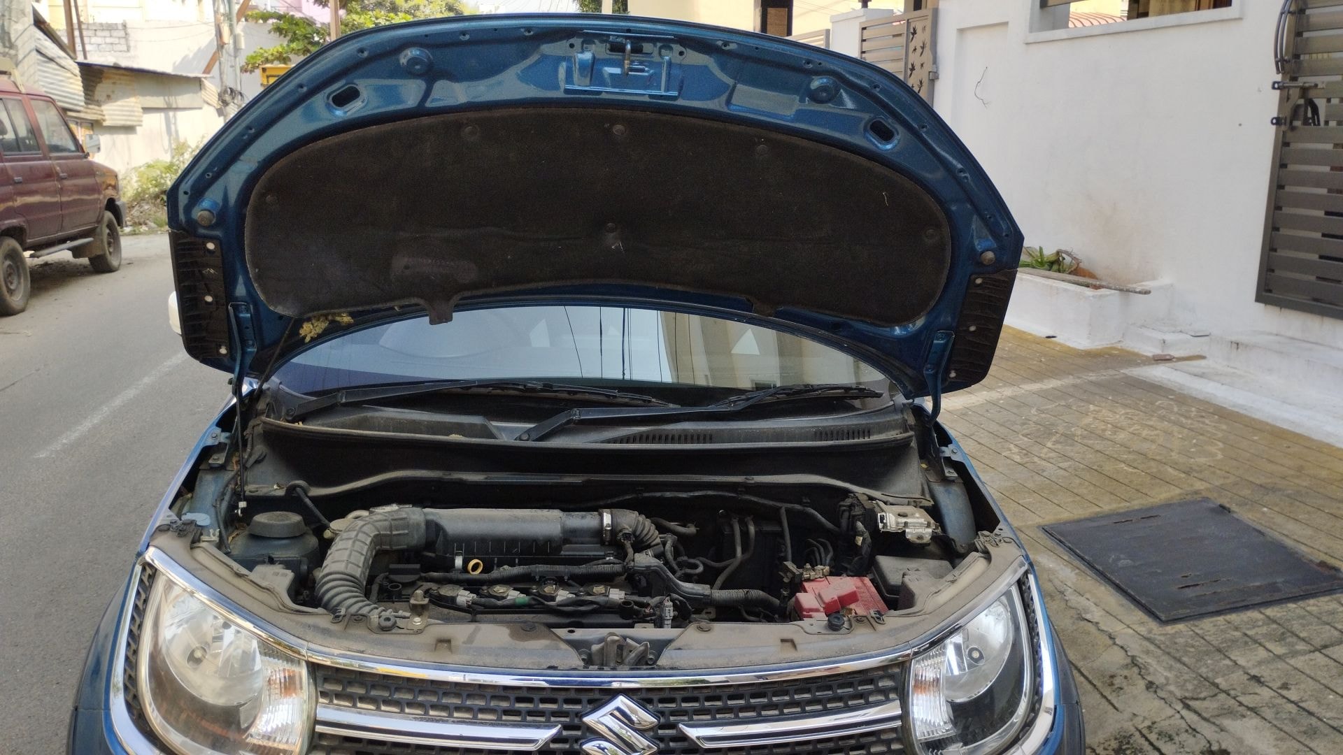 Ignis image 14 Ignis image 14