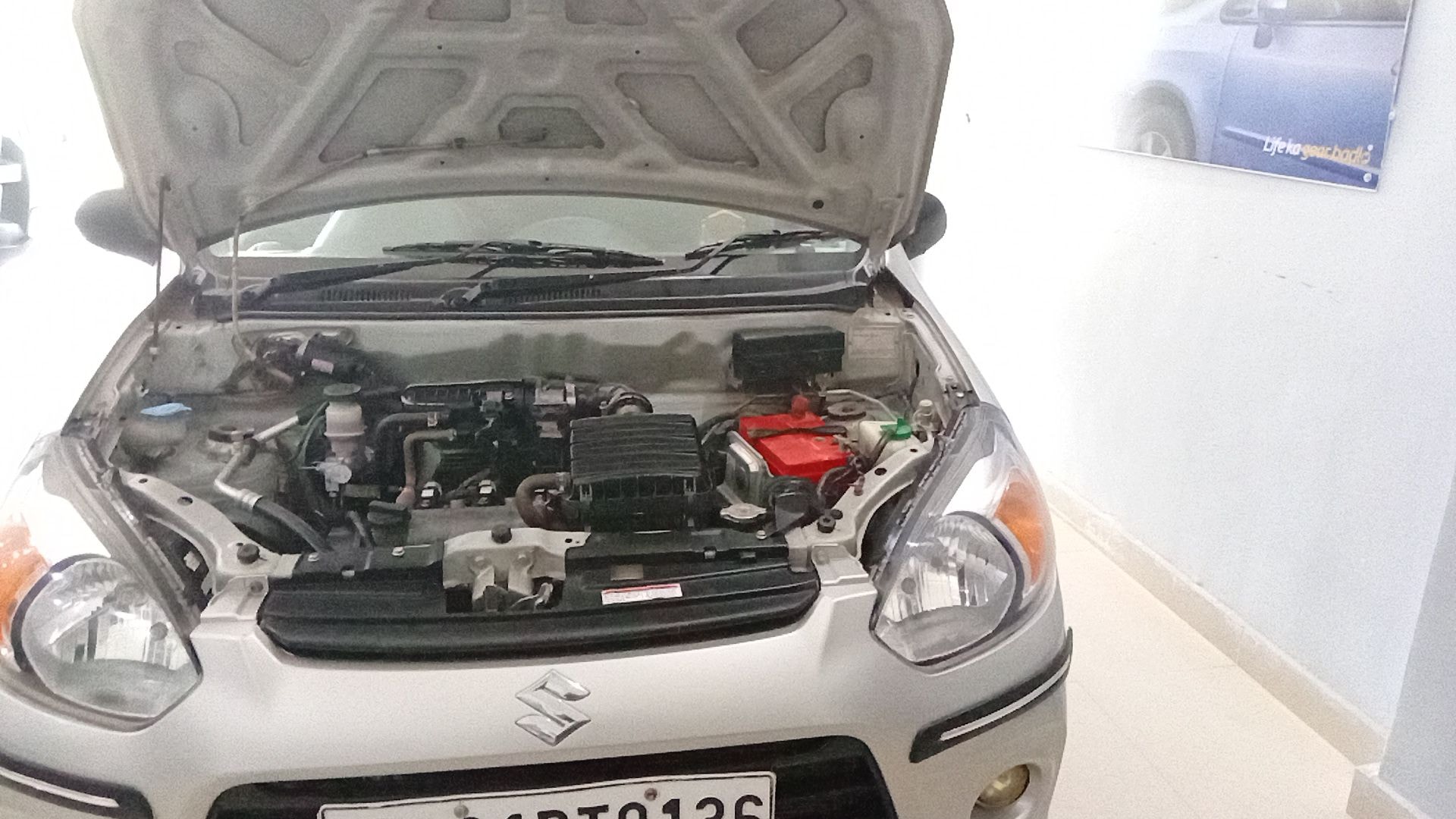 Alto 800 image 14 Alto 800 image 14