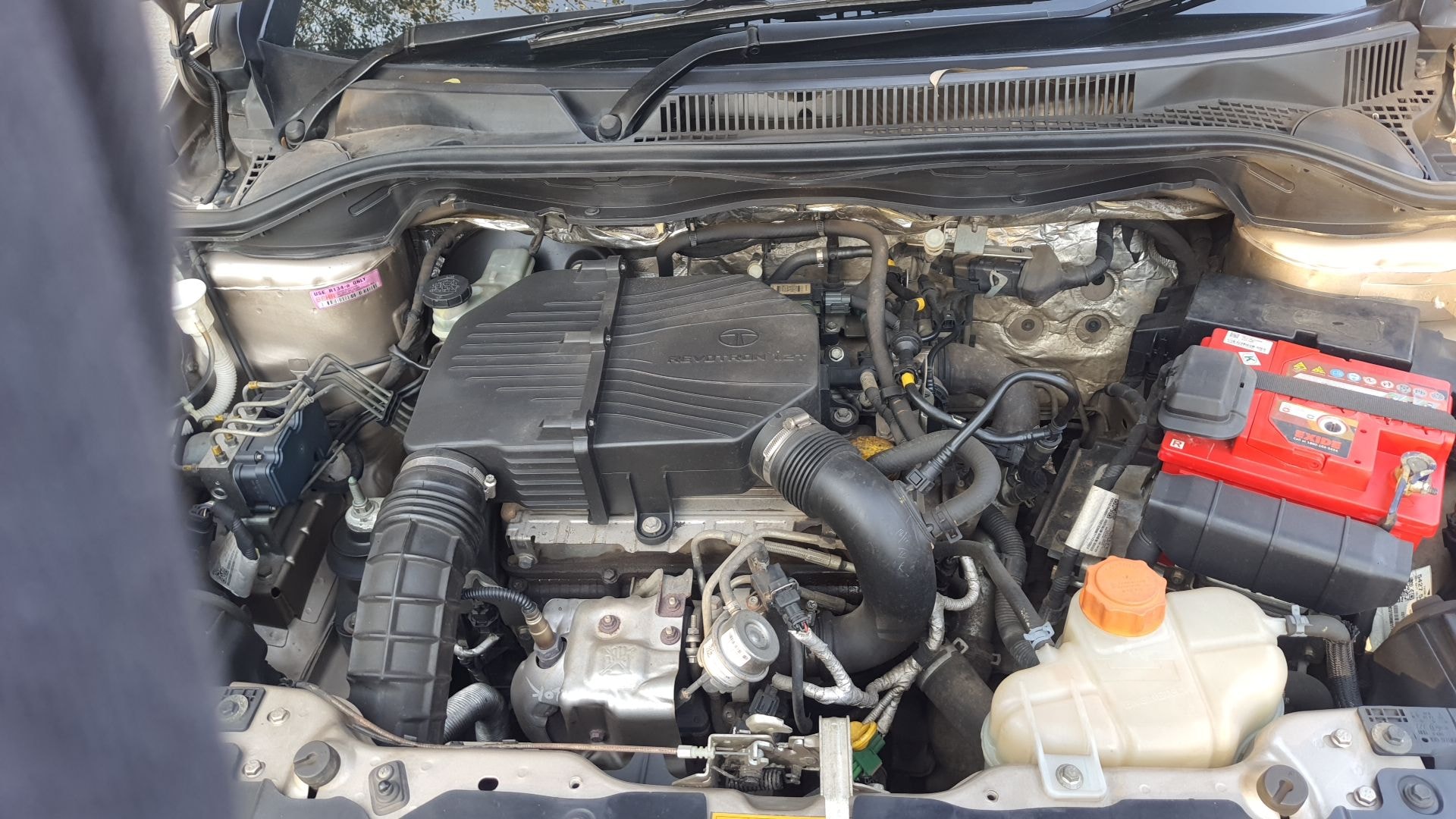 Zest image 14 Zest image 14