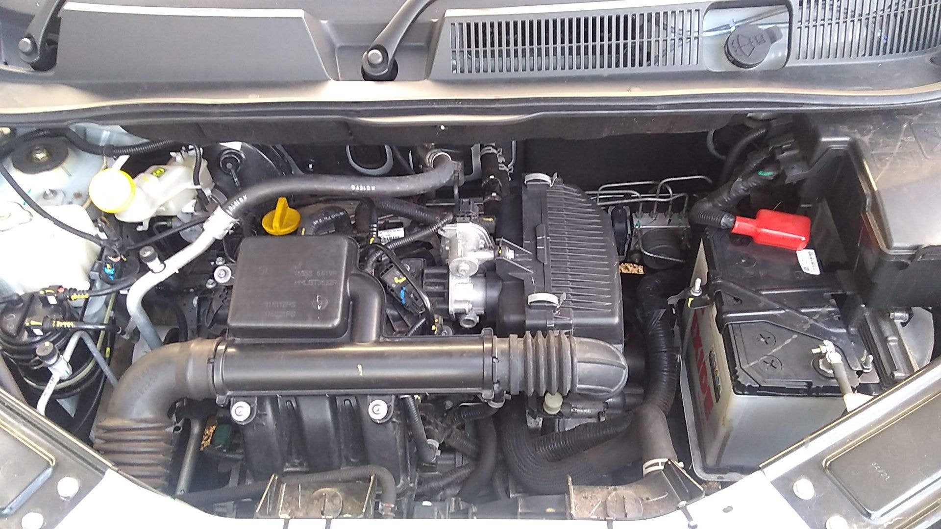 Kiger image 14 Kiger image 14