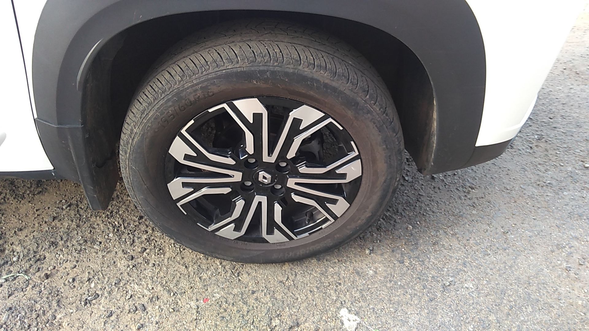 Kiger image 11 Kiger image 11