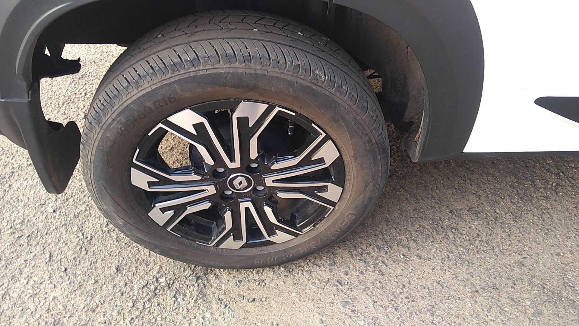 Kiger image 13 Kiger image 13