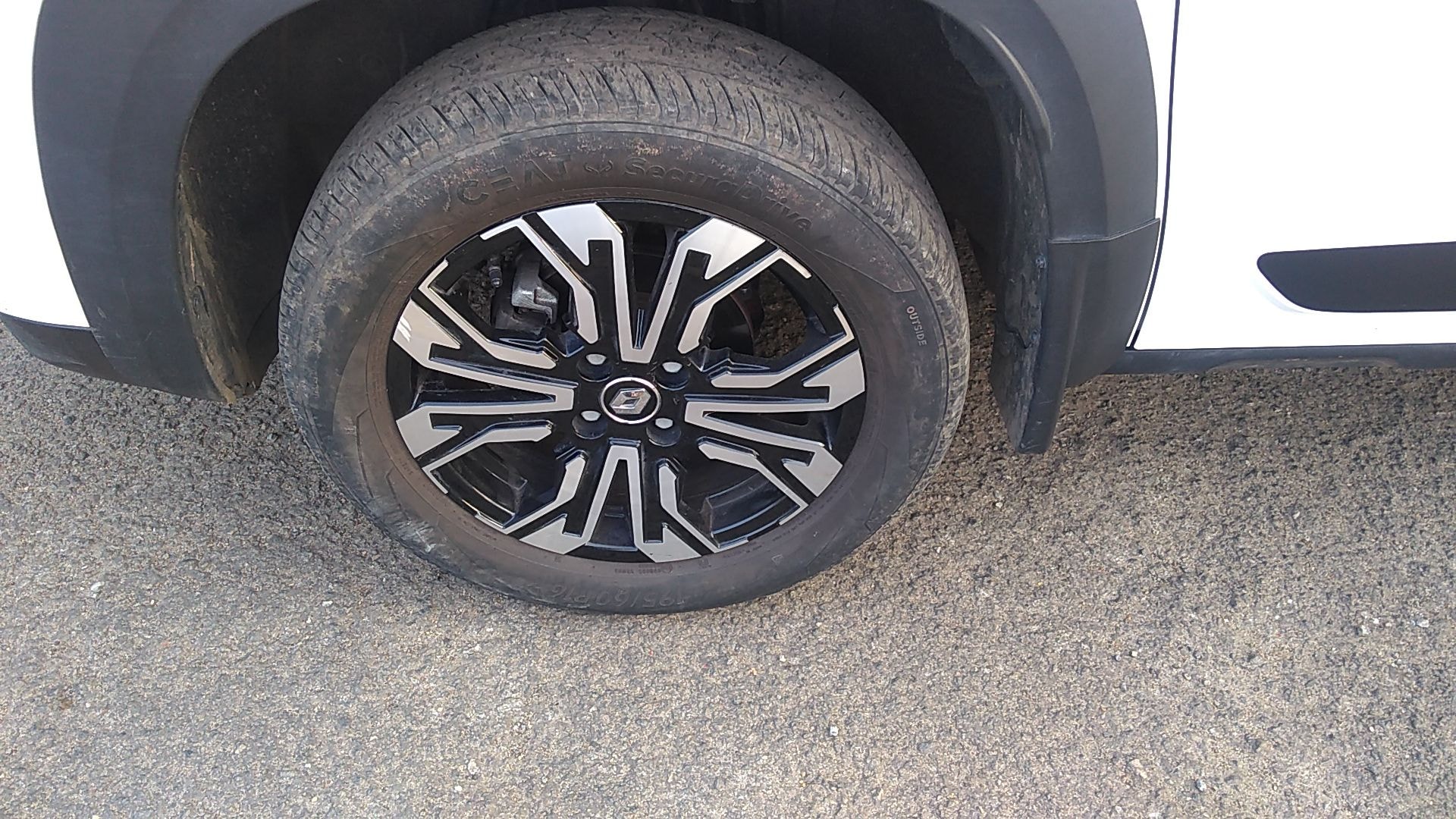 Kiger image 5 Kiger image 5