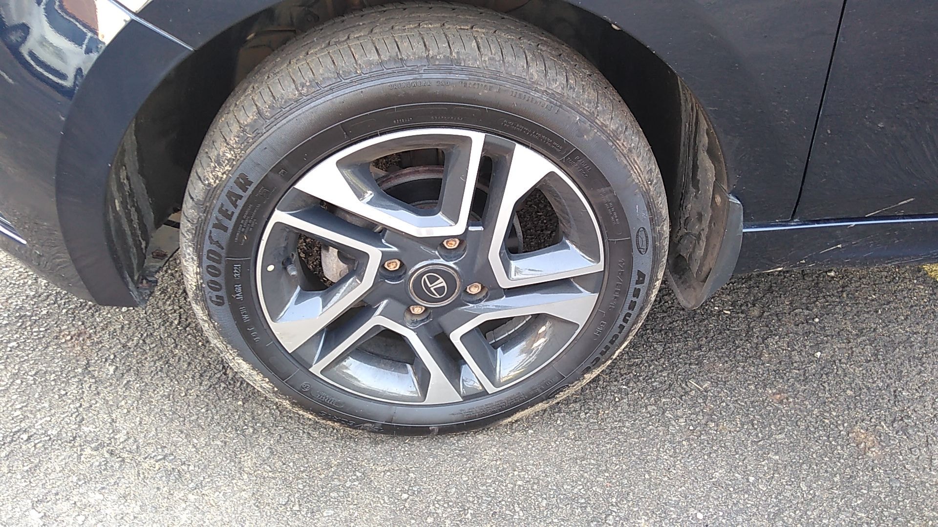 Tigor image 12 Tigor image 12