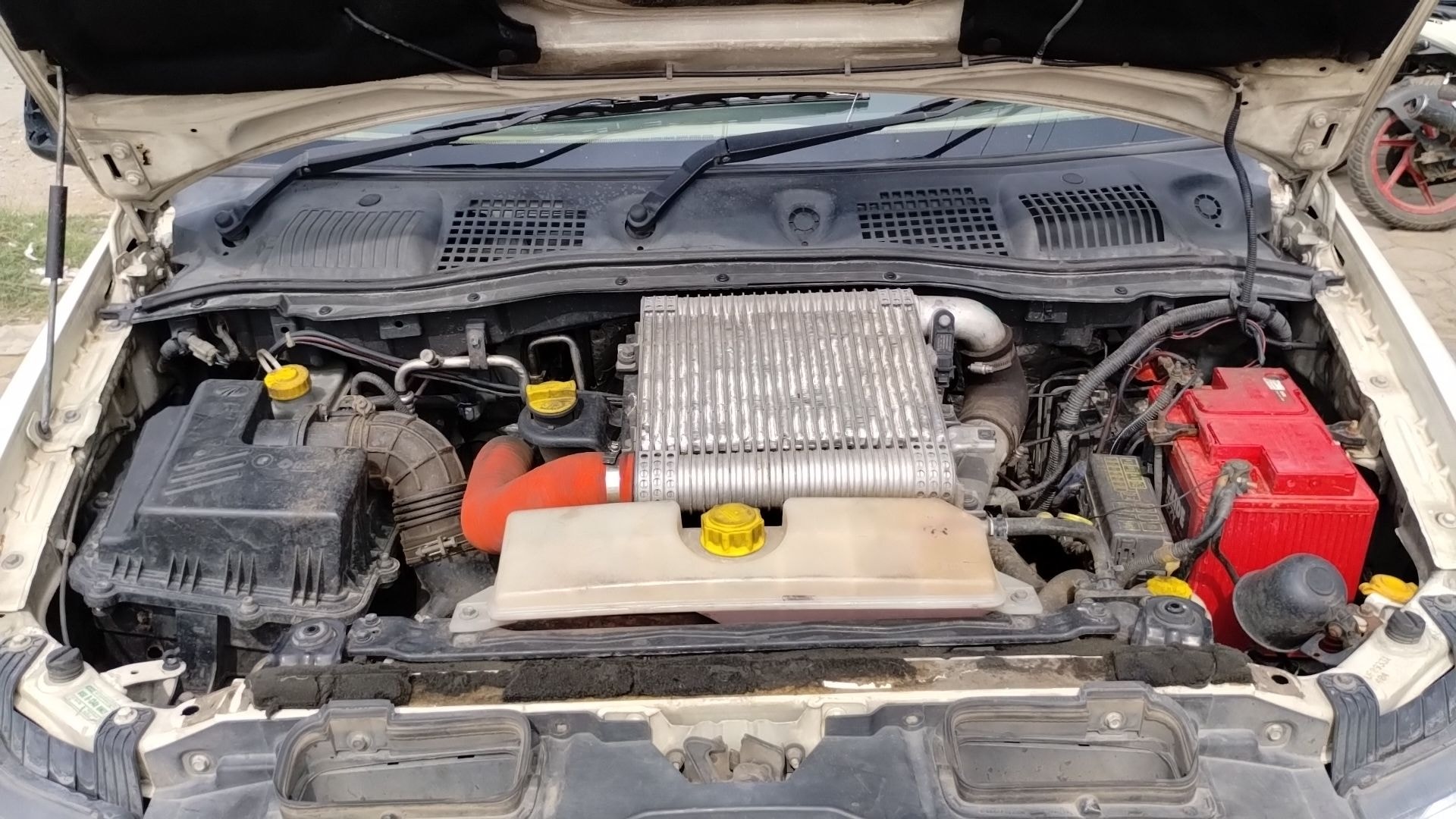 Xylo image 13 Xylo image 13