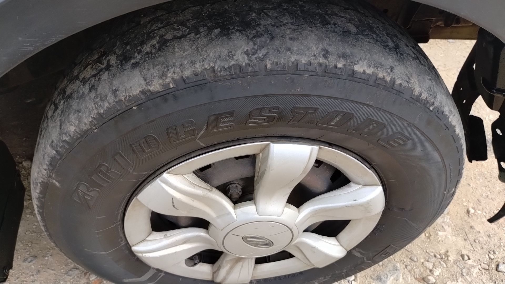 Xylo image 10 Xylo image 10