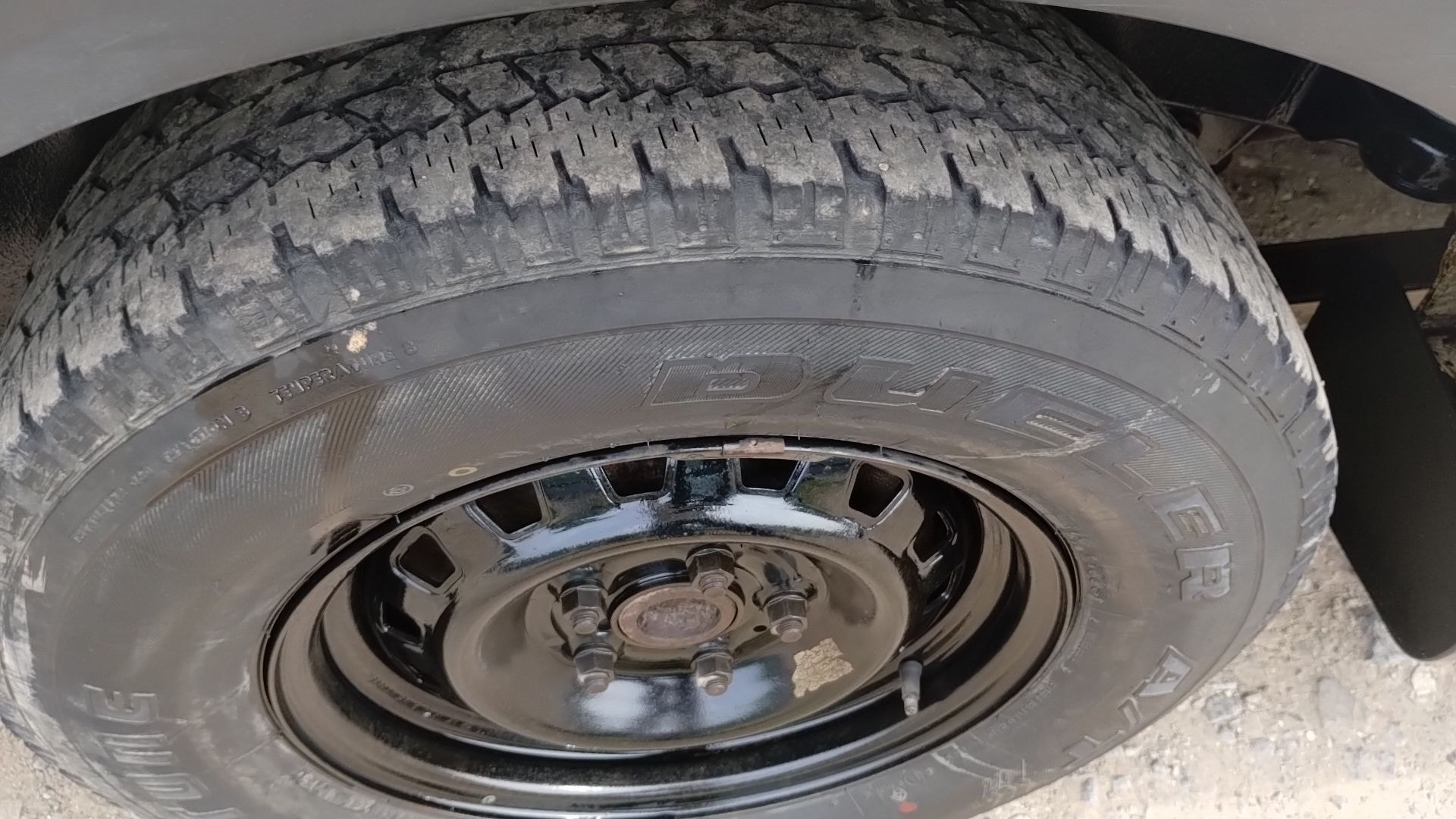 Xylo image 12 Xylo image 12