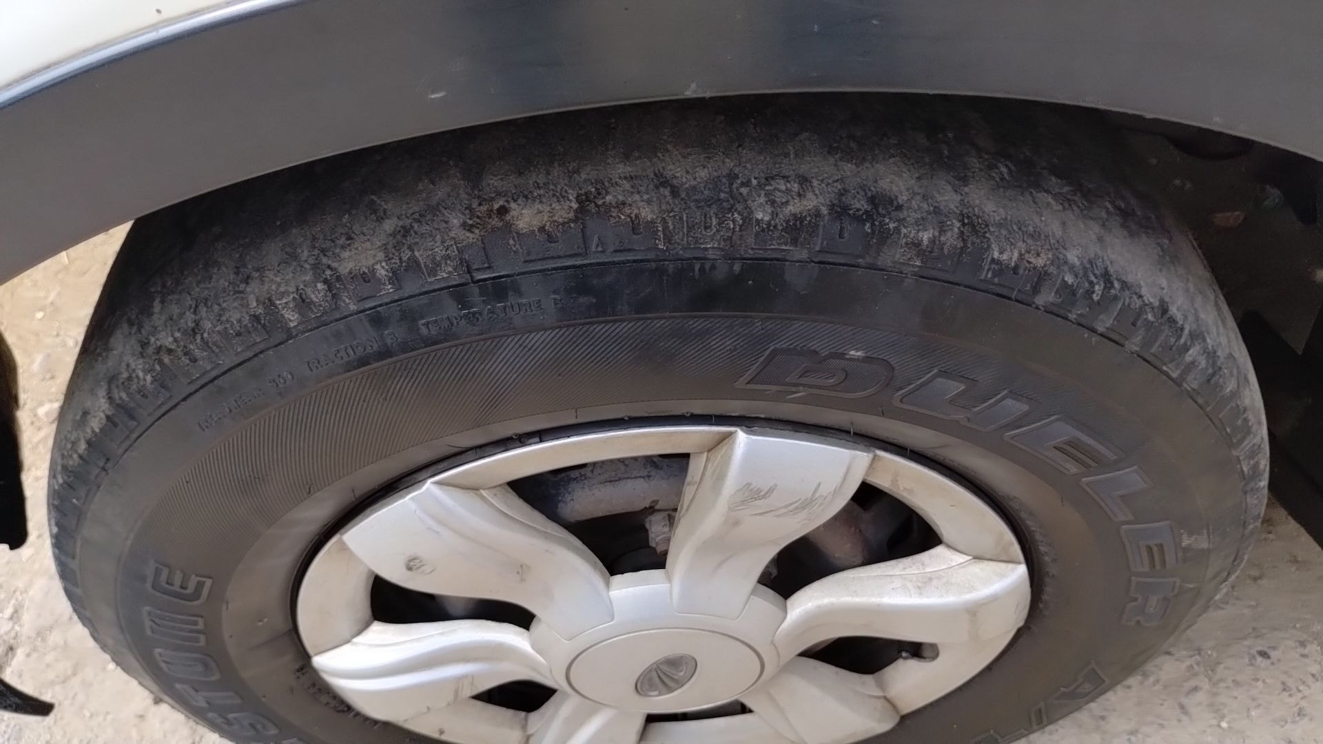 Xylo image 11 Xylo image 11