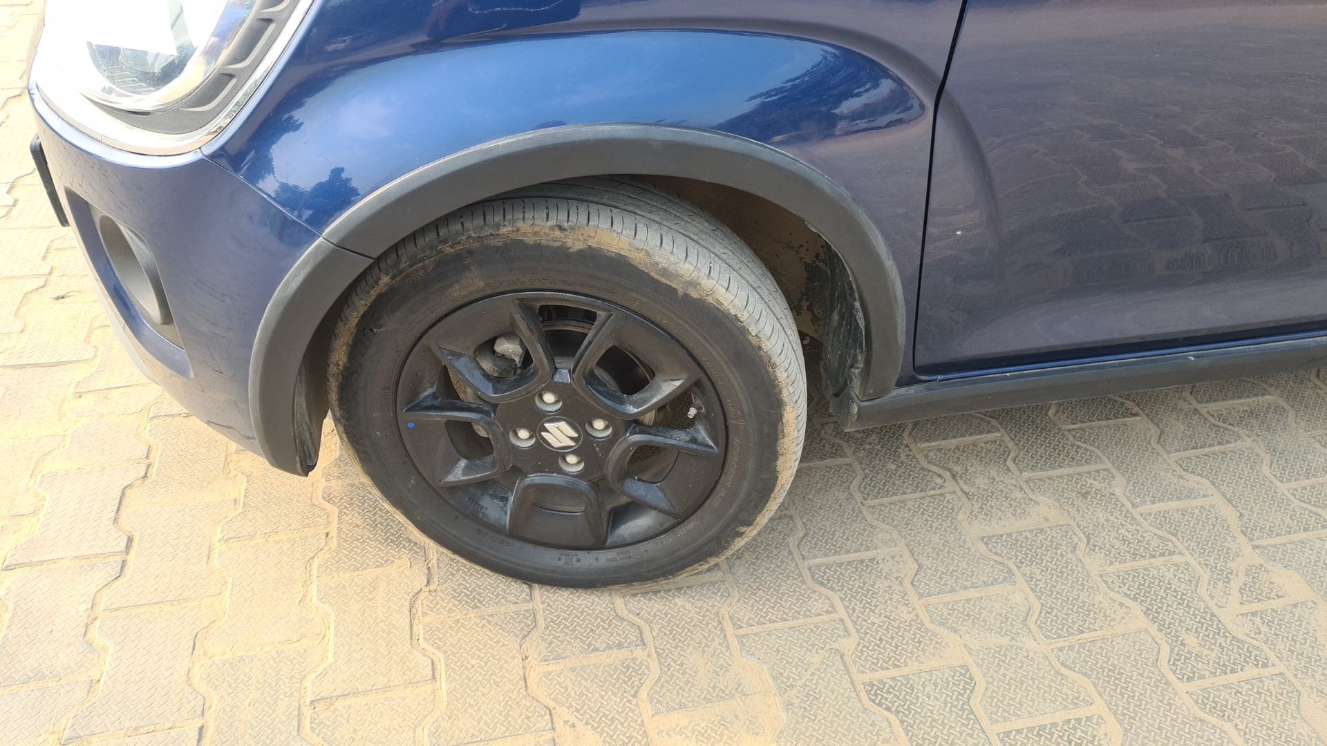 Ignis image 12 Ignis image 12