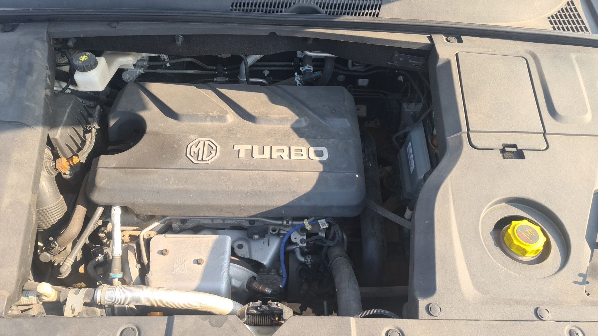 Hector image 14 Hector image 14