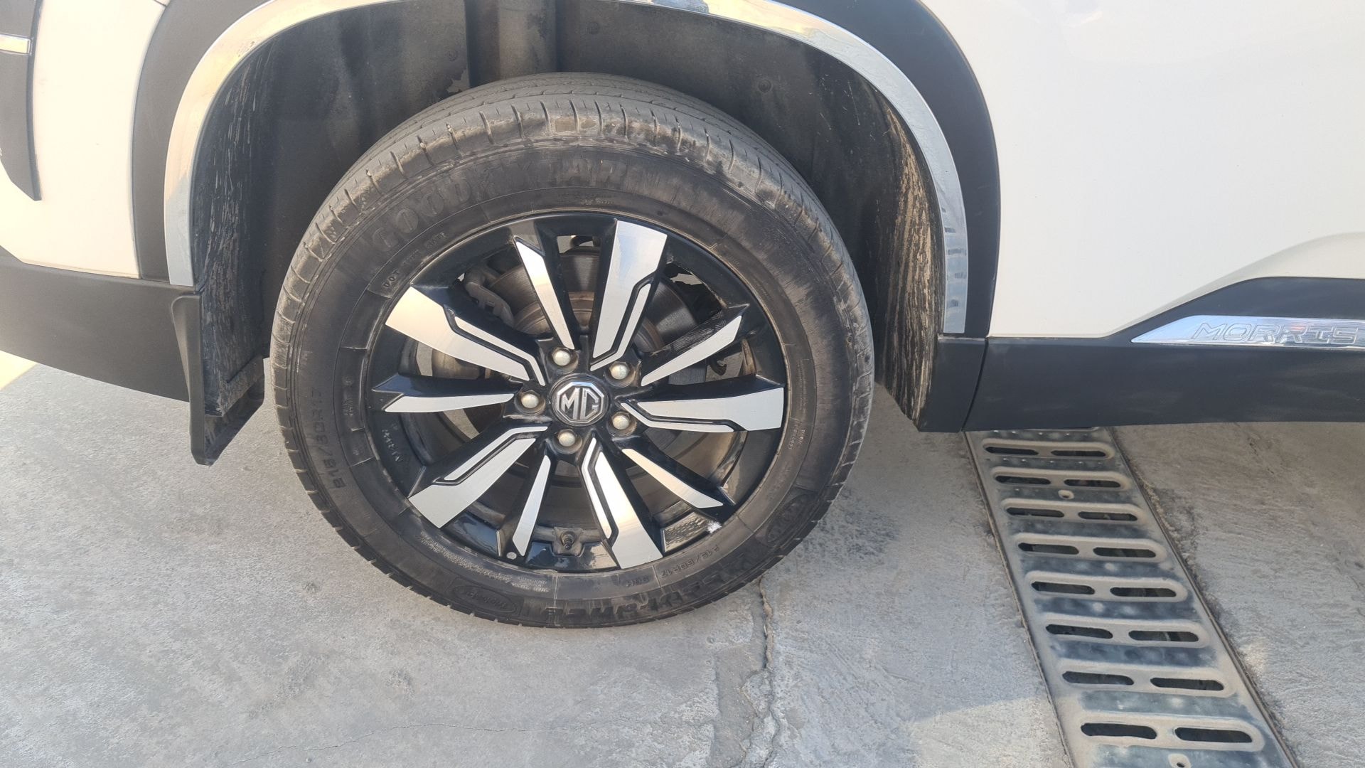 Hector image 13 Hector image 13