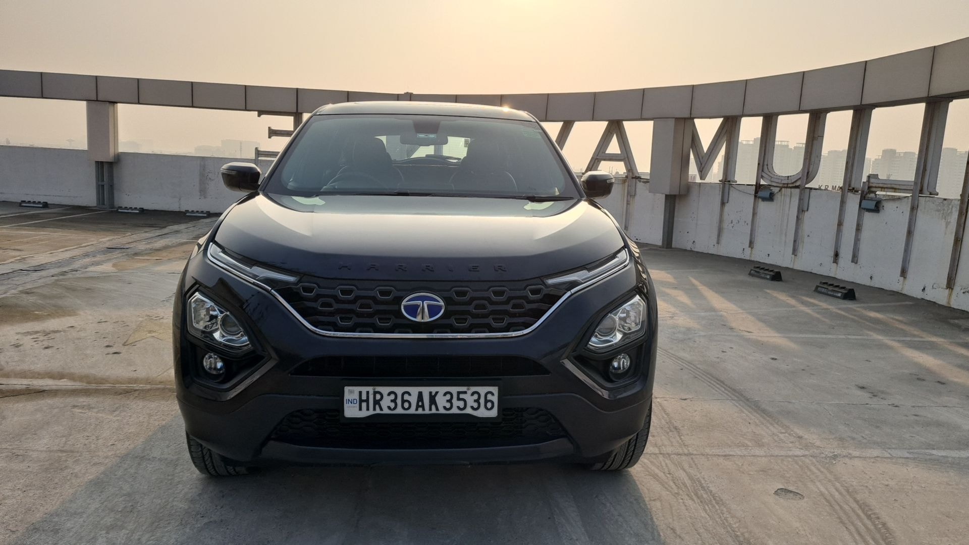 Harrier image 10 Harrier image 10