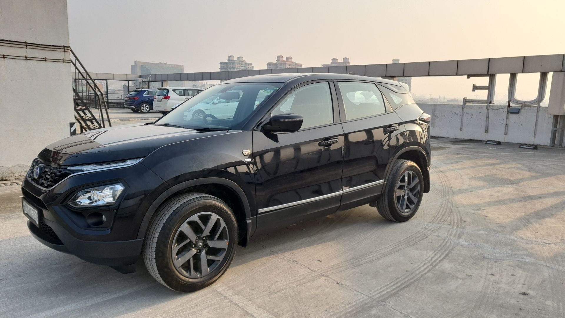 Harrier image 1 Harrier image 1