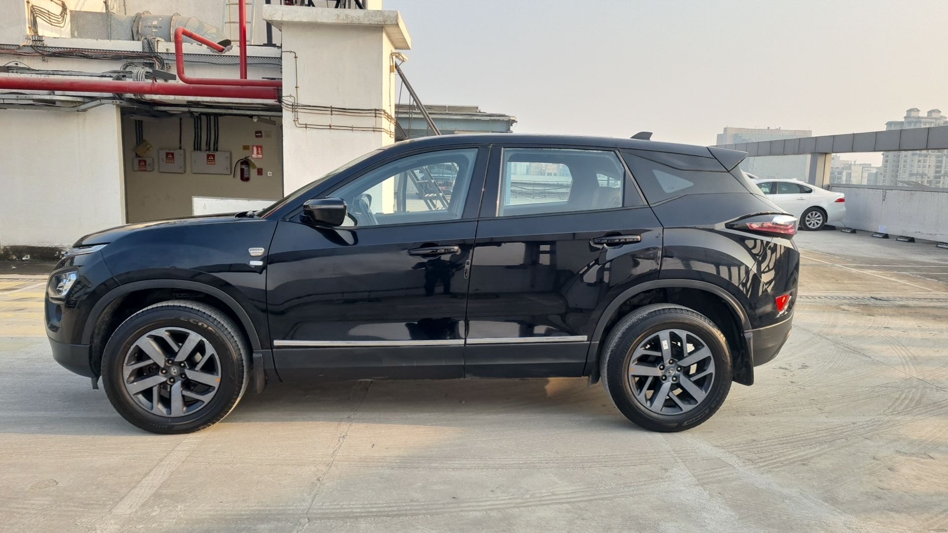 Harrier image 2 Harrier image 2