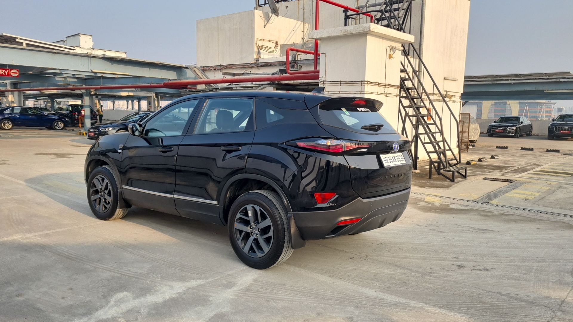 Harrier image 3 Harrier image 3