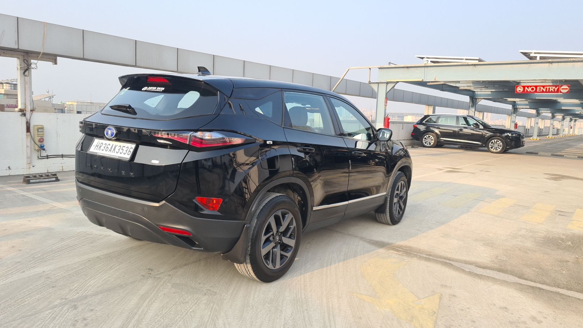 Harrier image 6 Harrier image 6