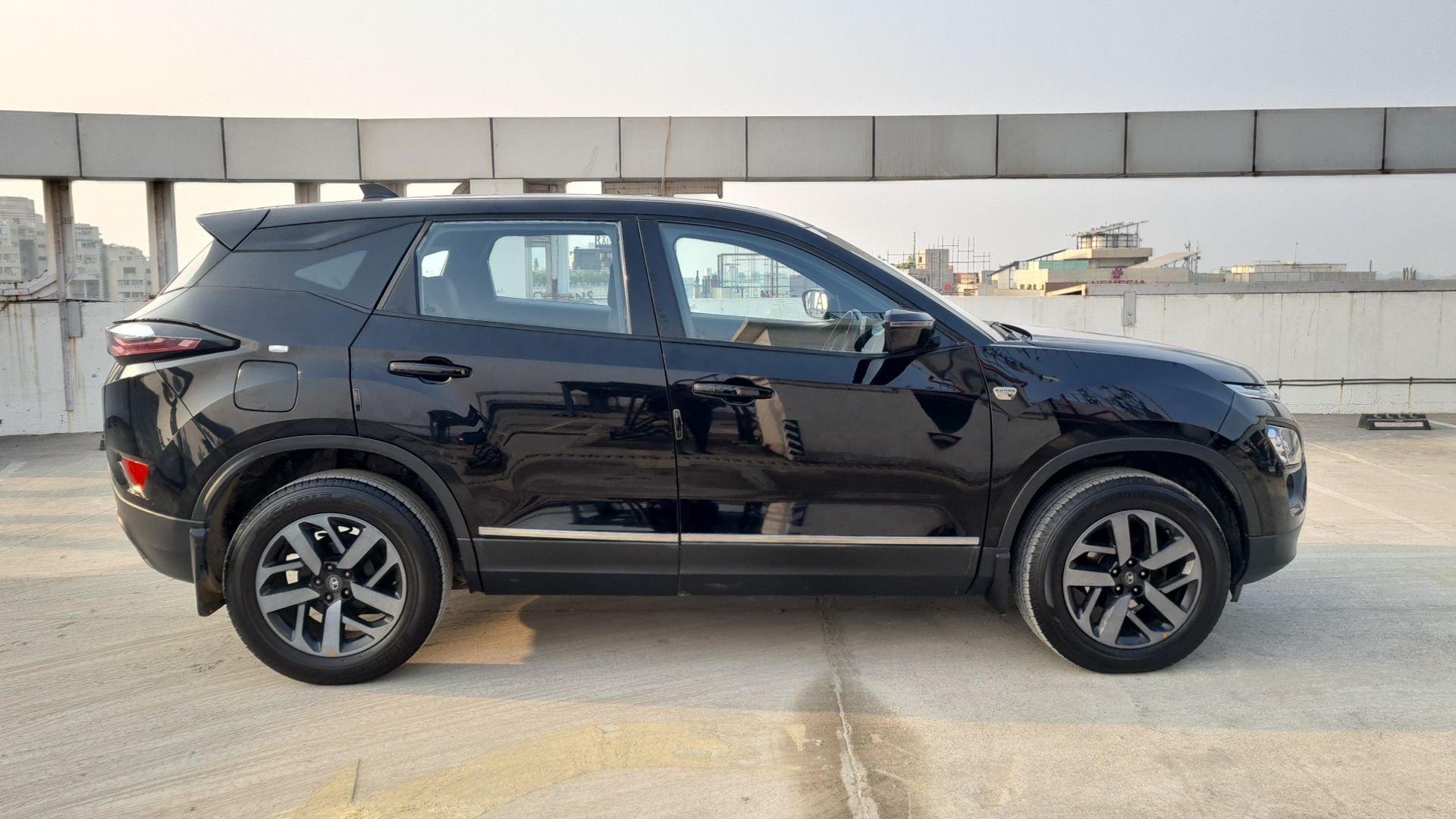 Harrier image 7 Harrier image 7