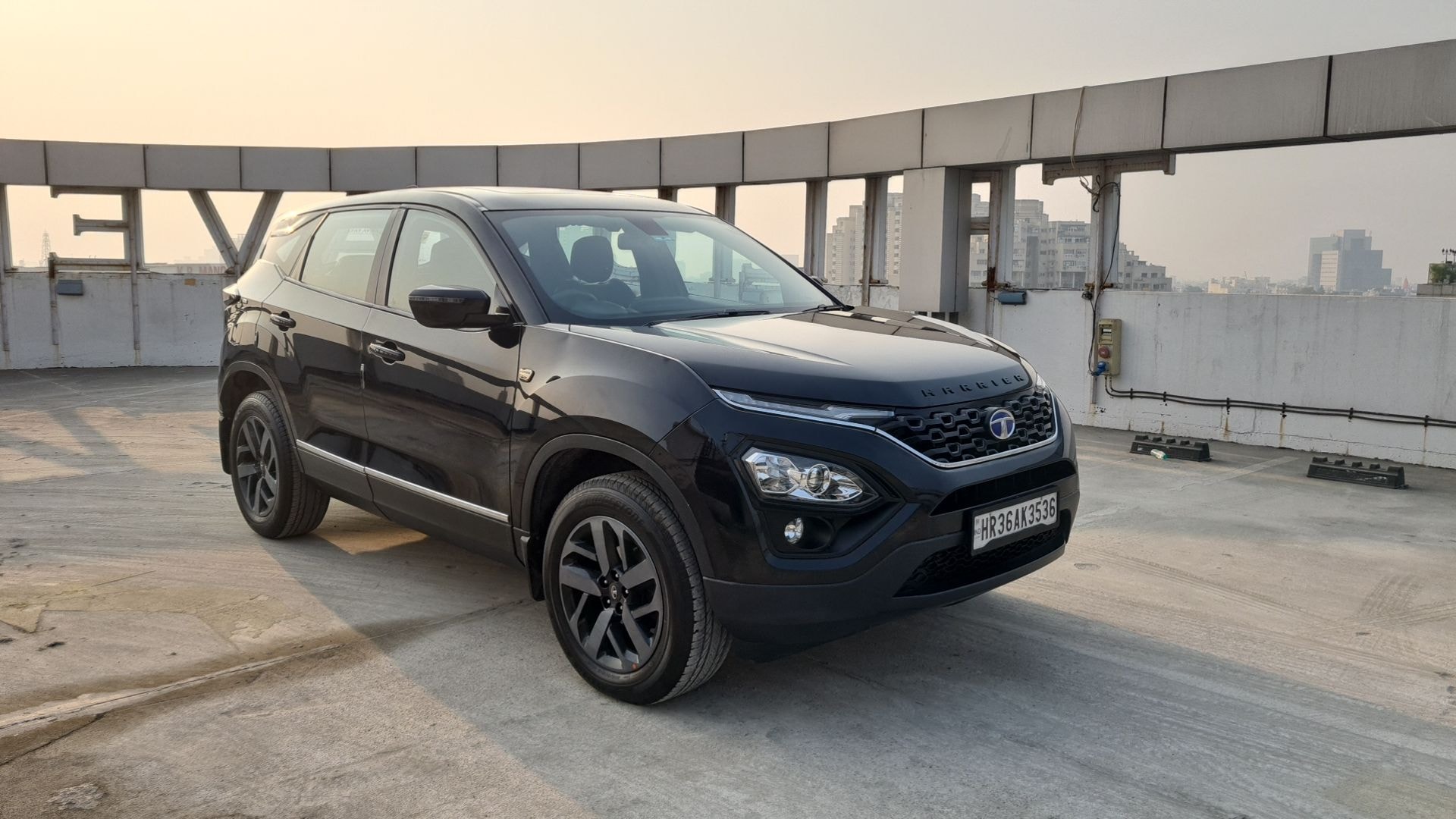 Harrier image 8 Harrier image 8