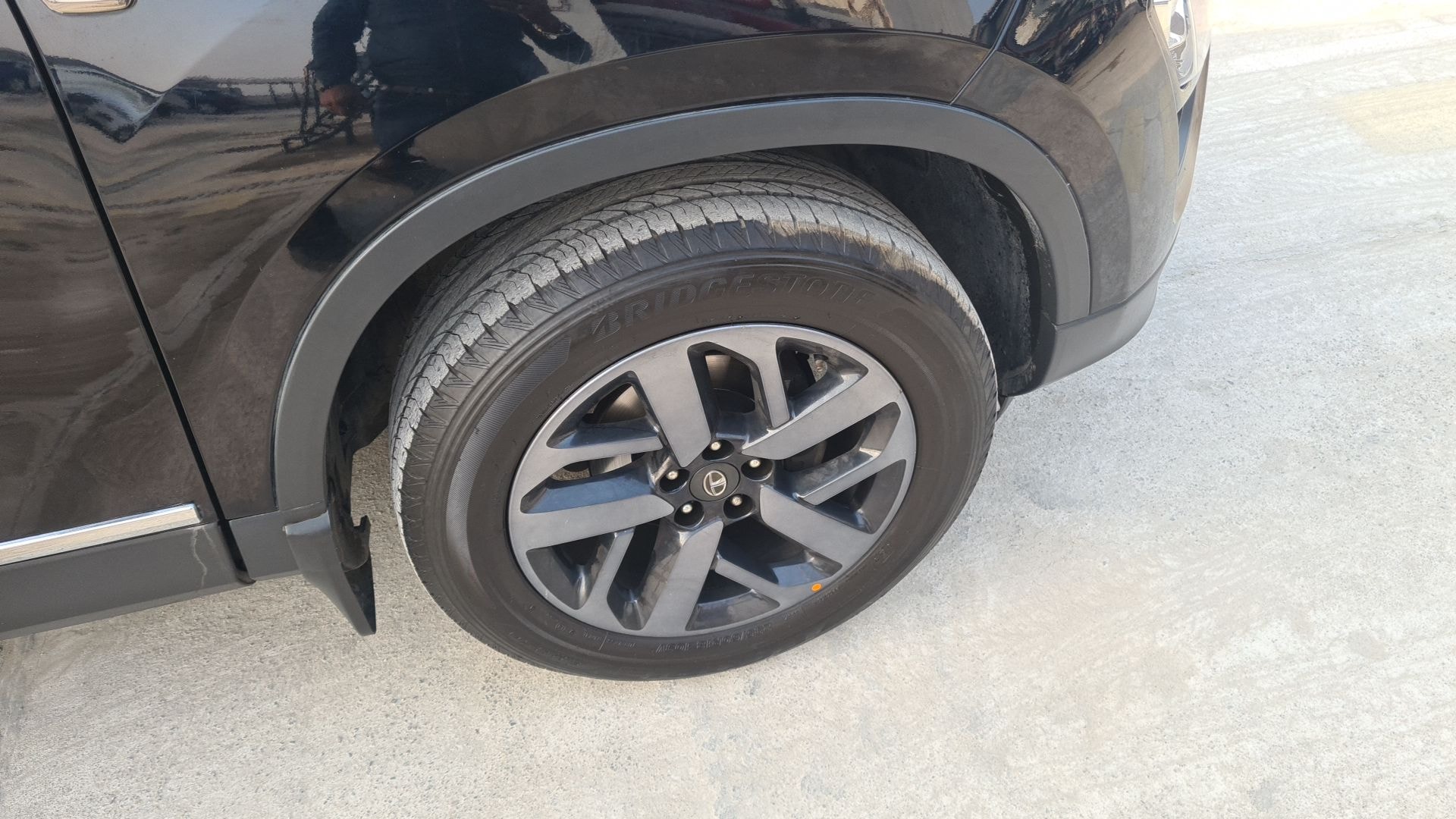 Harrier image 11 Harrier image 11