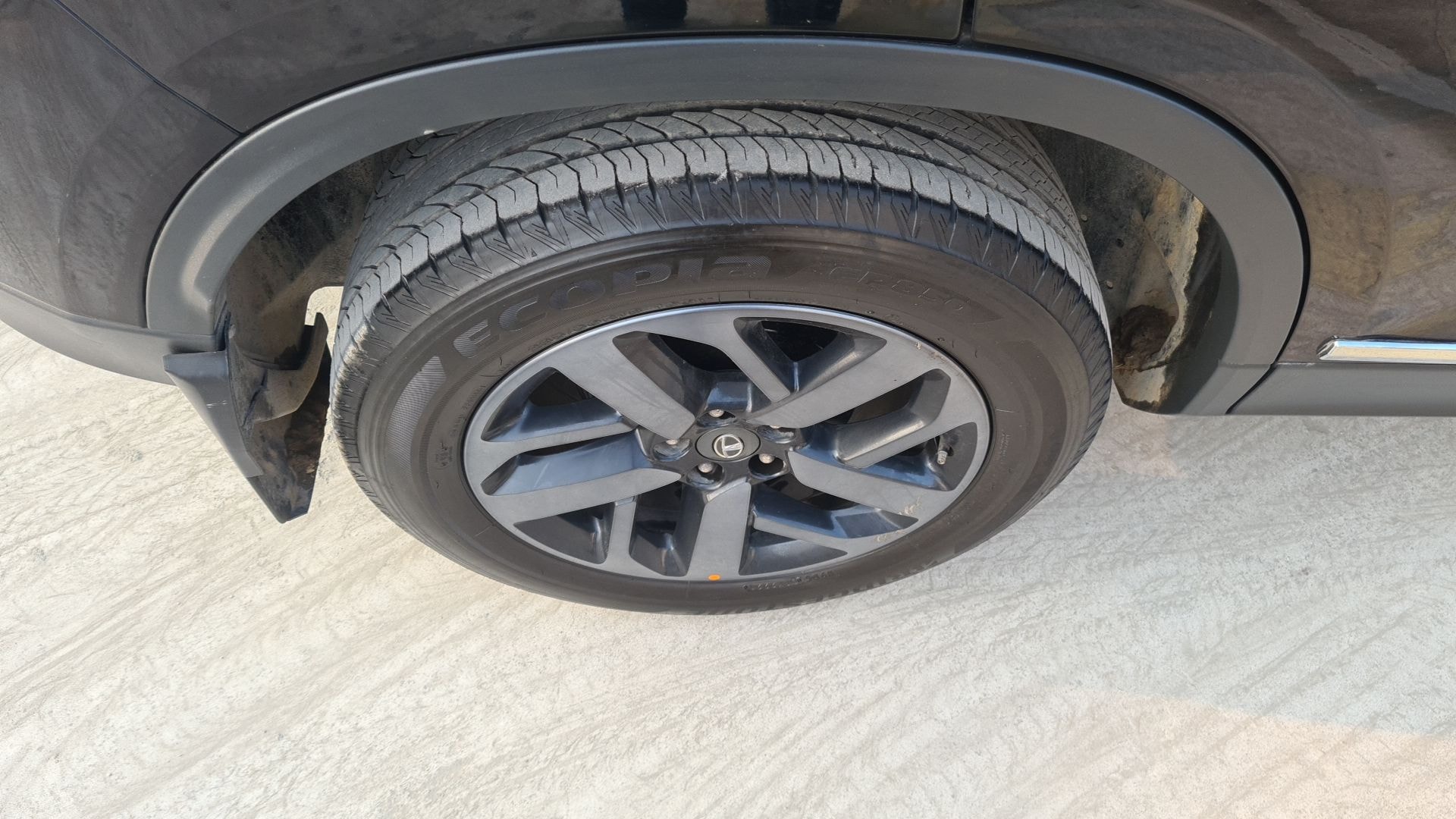 Harrier image 13 Harrier image 13