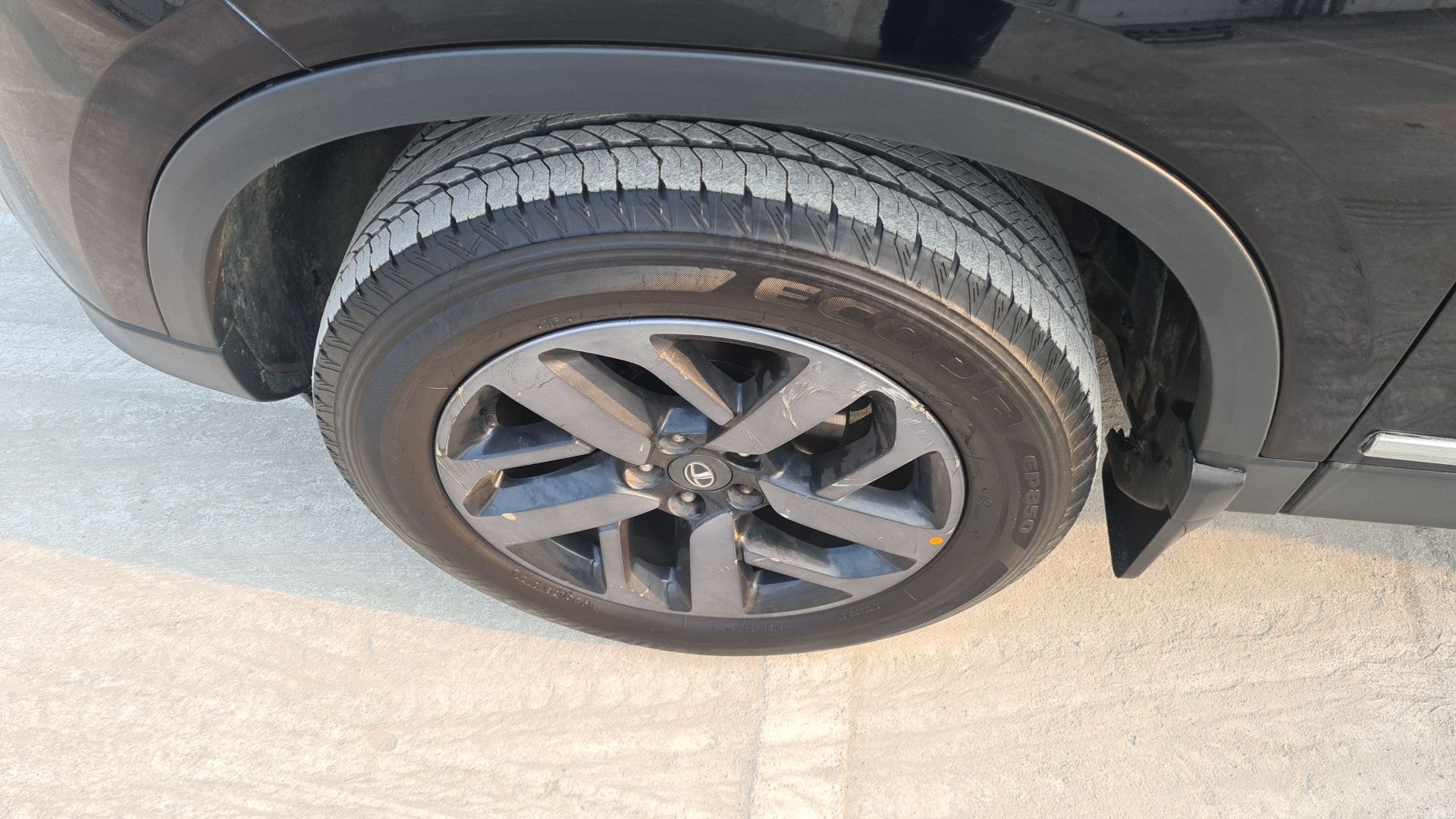 Harrier image 12 Harrier image 12