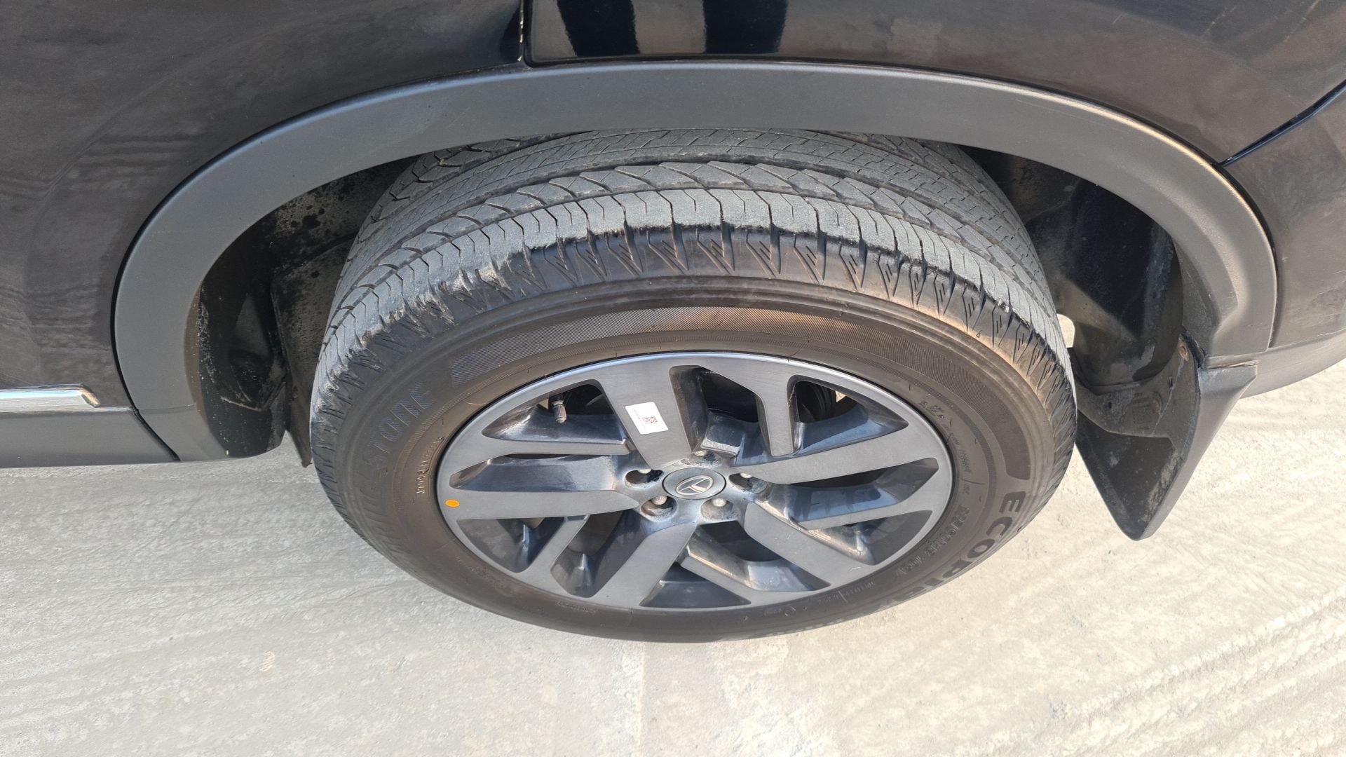 Harrier image 5 Harrier image 5