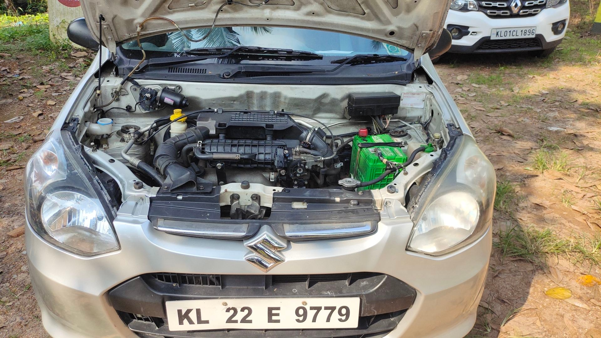 Alto 800 image 5 Alto 800 image 5